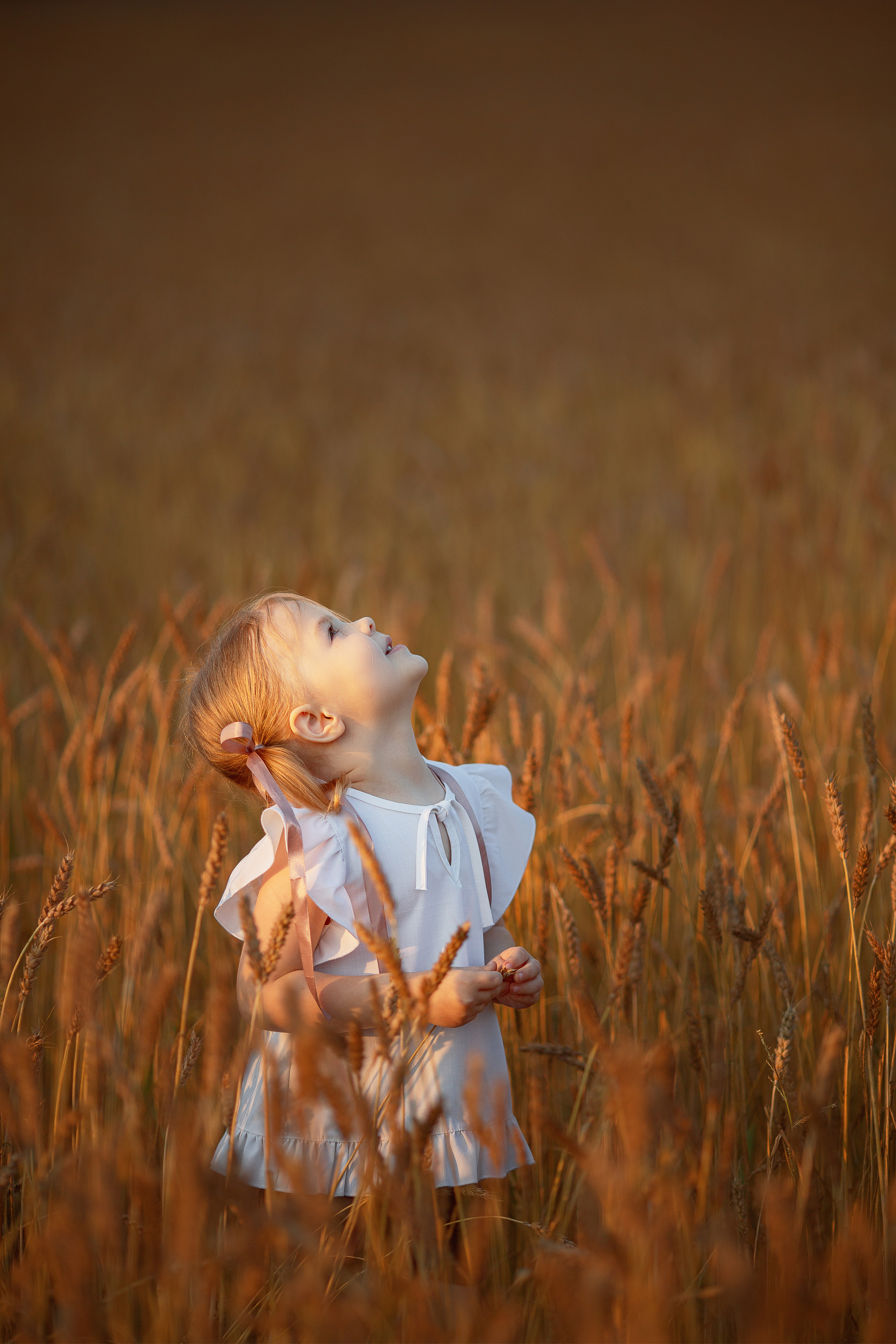 Аня и Вера в пшеничном поле. Семейный фотограф в Кургане