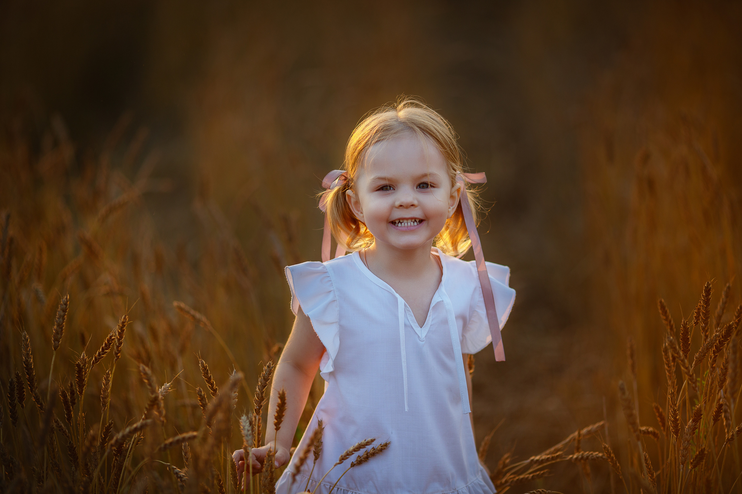 Аня и Вера в пшеничном поле. Семейный фотограф в Кургане