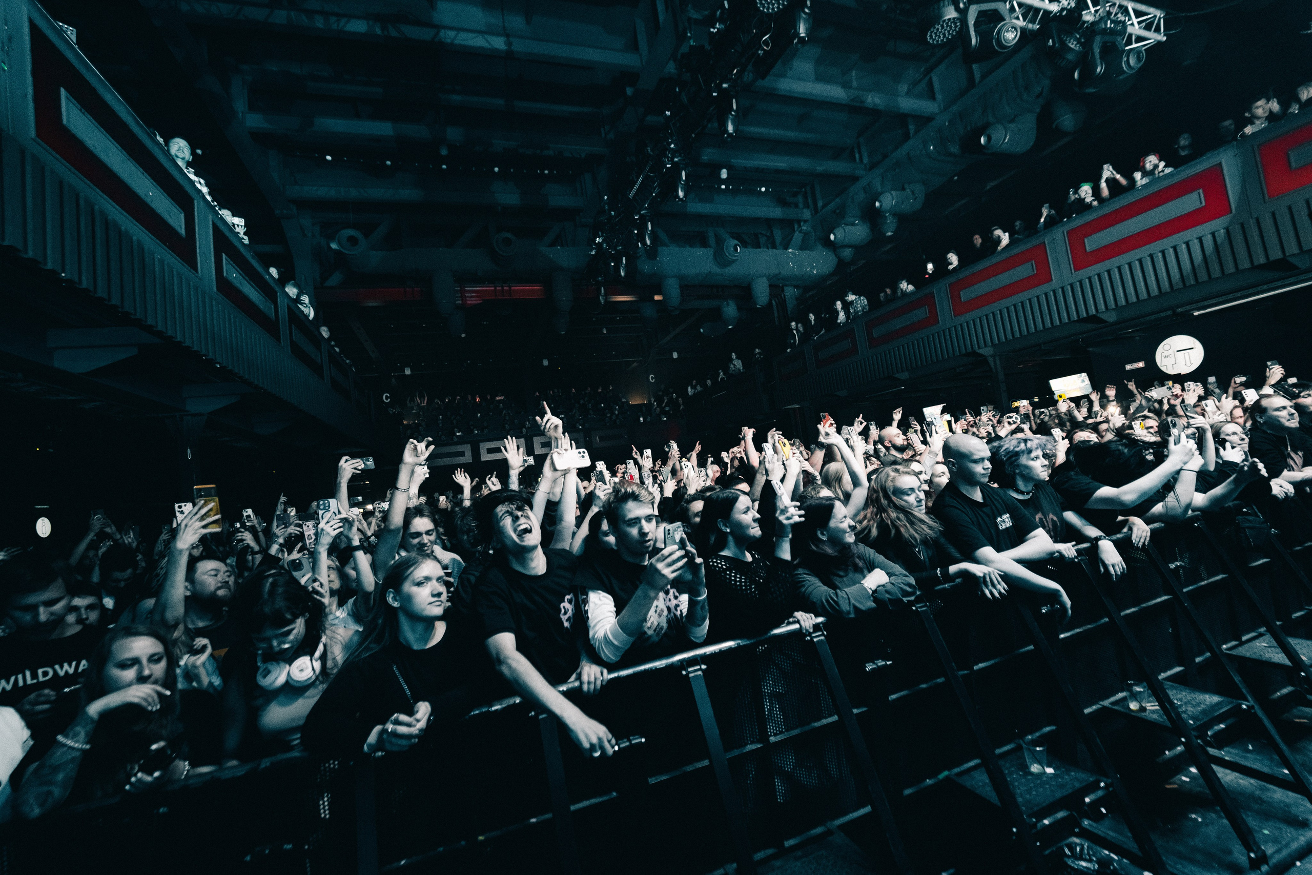 WILDWAYS. PASHAHARCE PHOTOGRAPHER & VIDEOGRAPHER