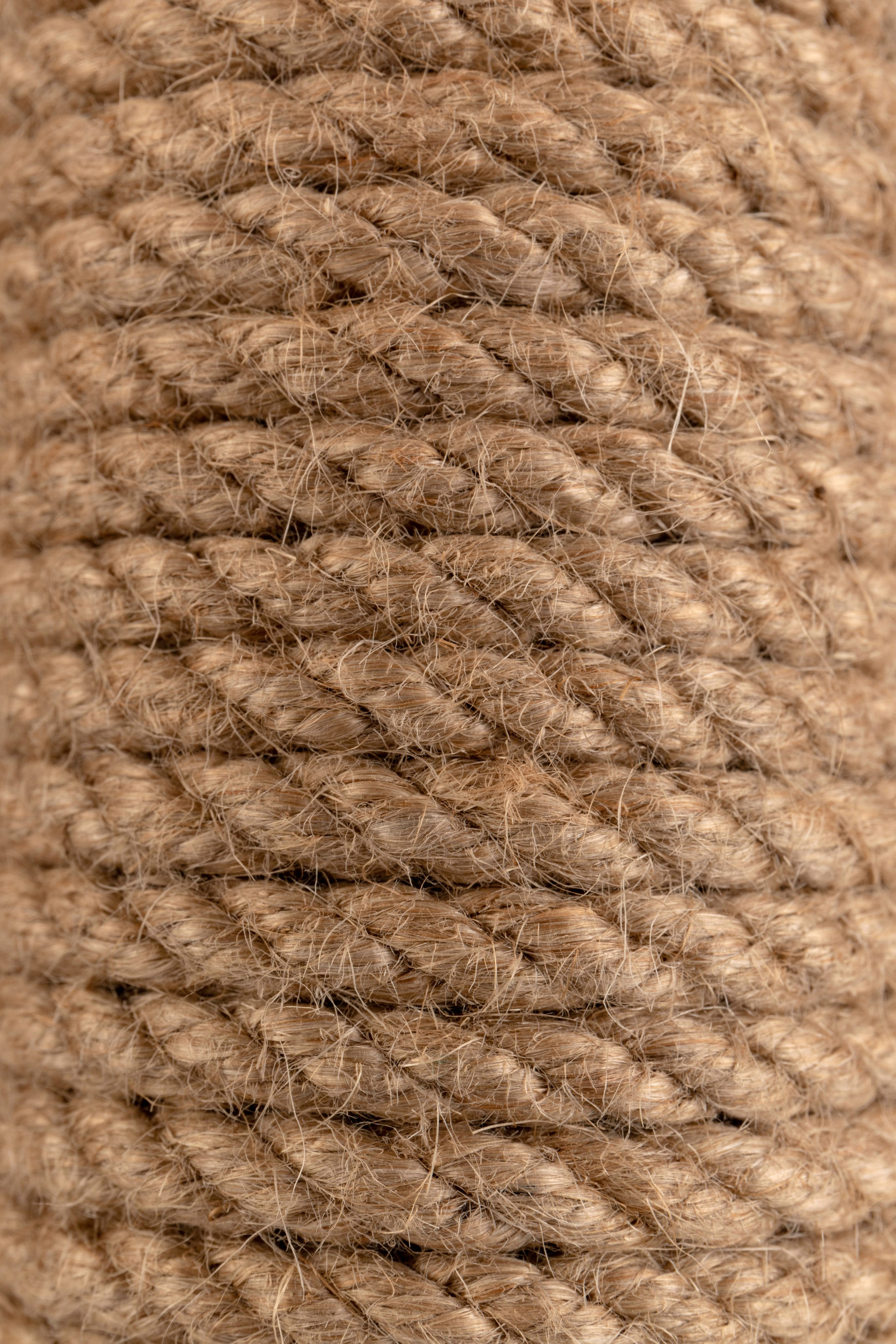 Фото для маркетплейсов. Предметный фотограф в Крыму Ольга Шестакова