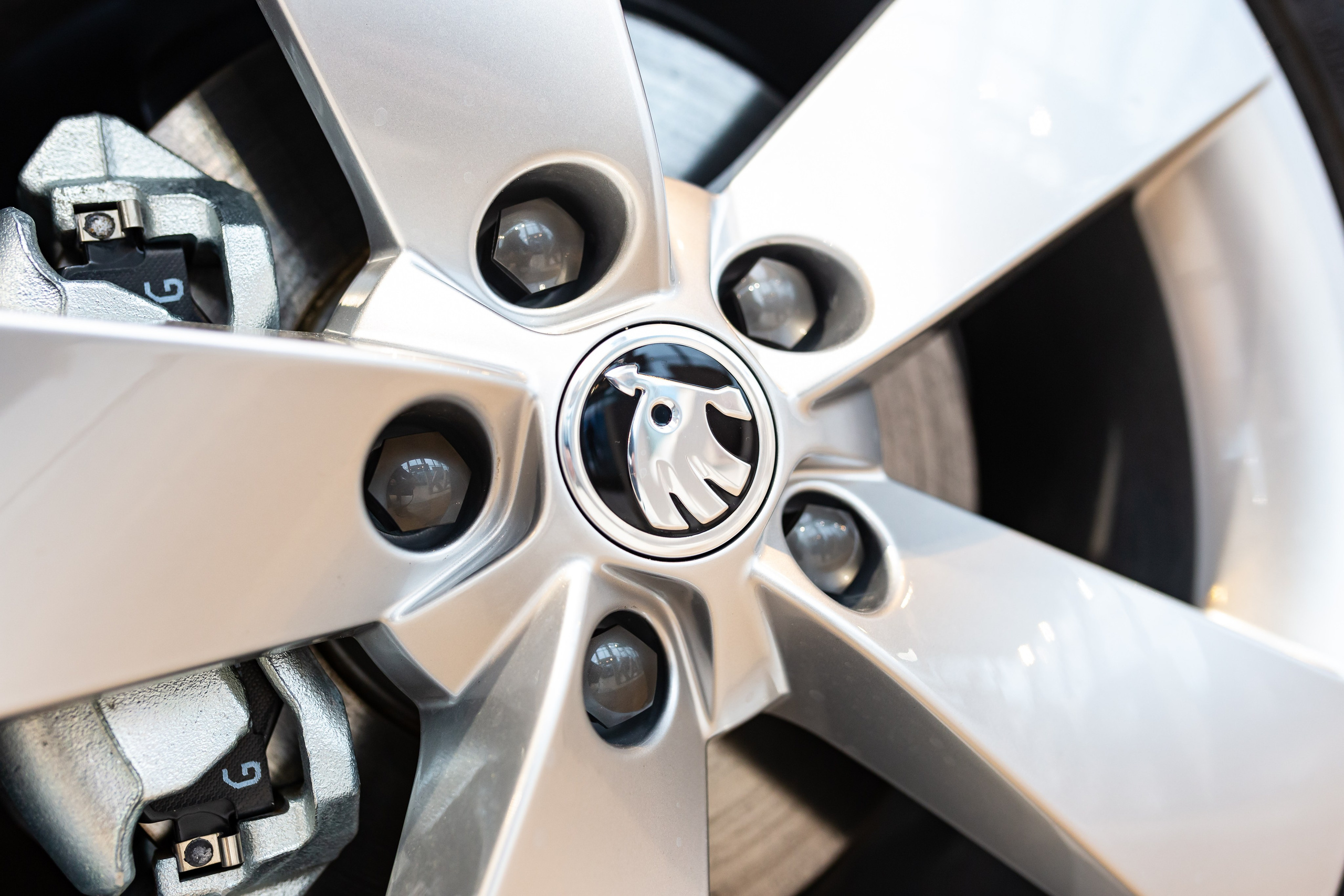 Презентация Škoda Karoq. Свадебный и Репортажный фотограф в Санкт-Петербурге