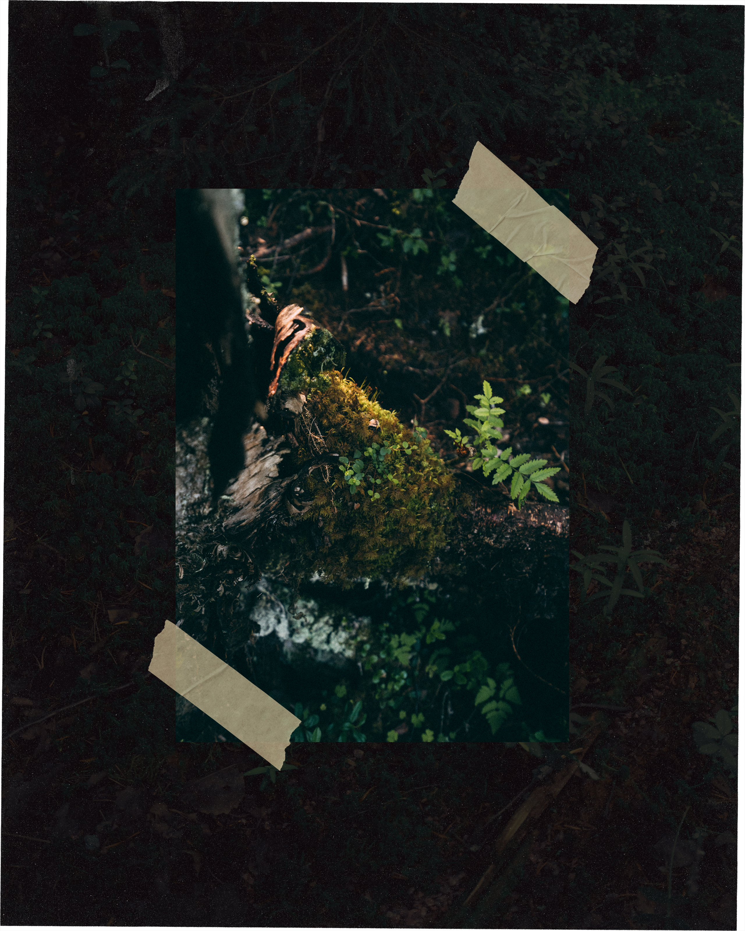 Рускеала. Фотограф Алиса Аспер