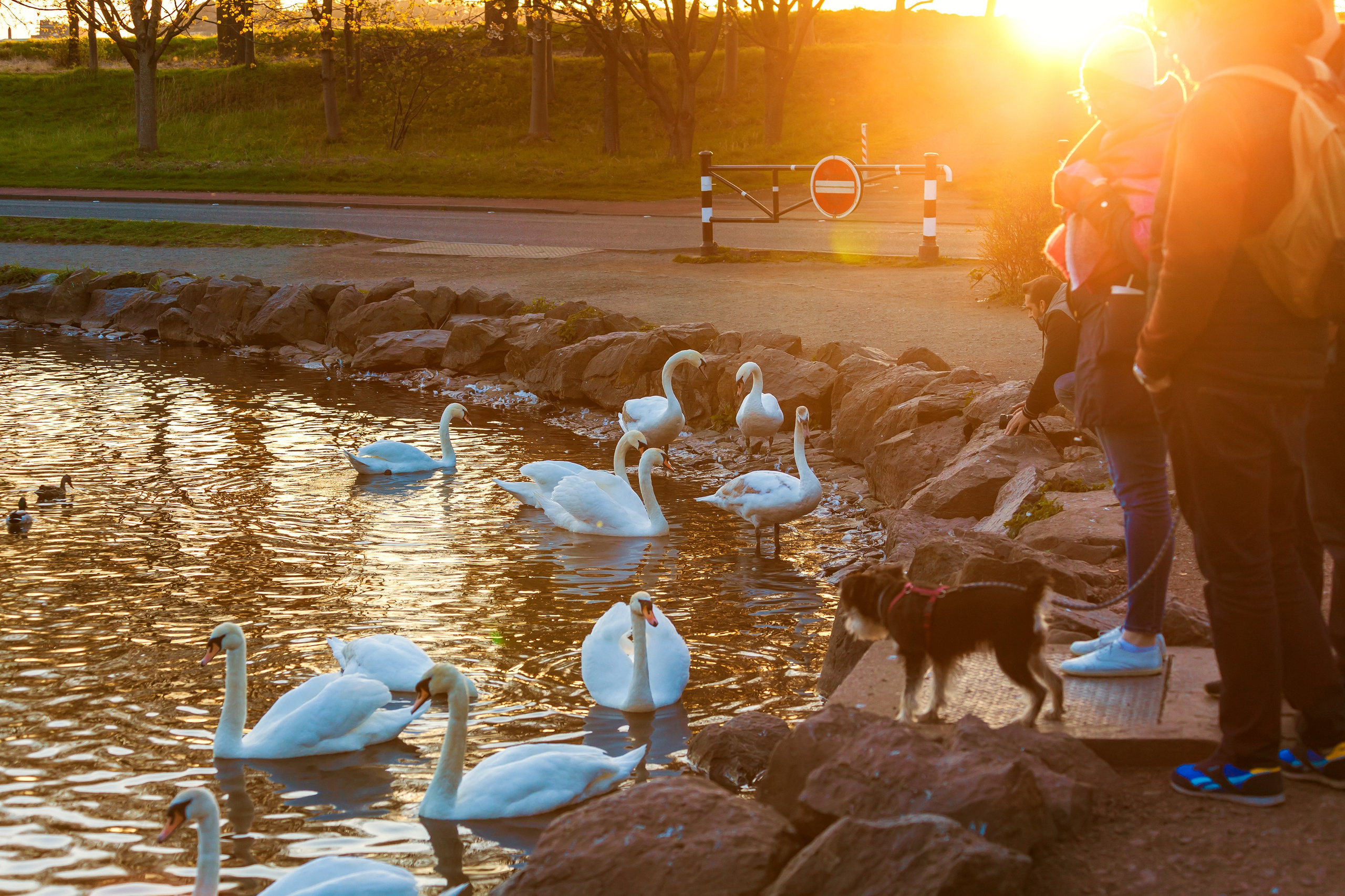 ШОНТЛАДНИЯ / SCOTLAND. Главная
