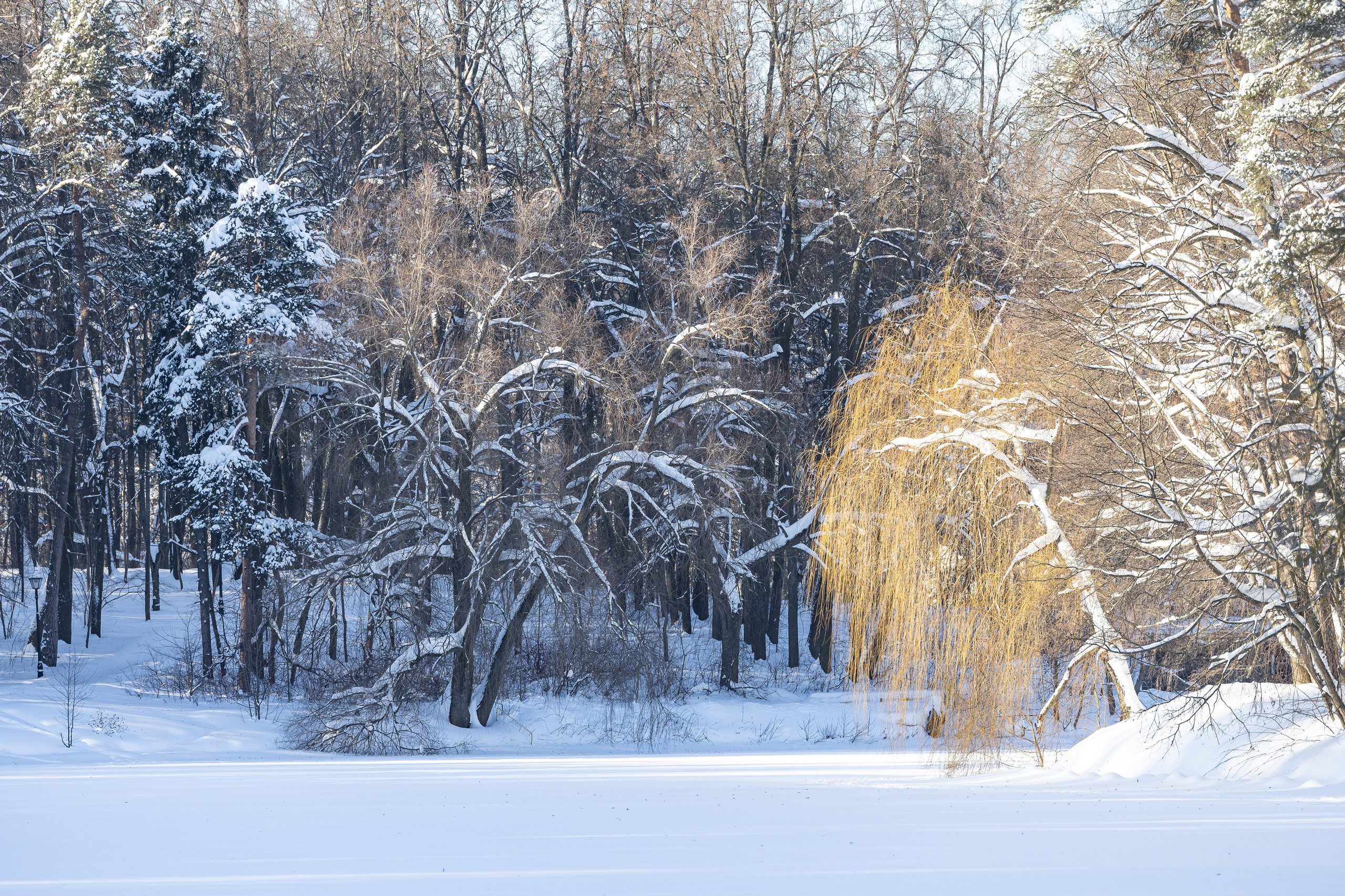 Природа. Фотограф Владимир Охрименко