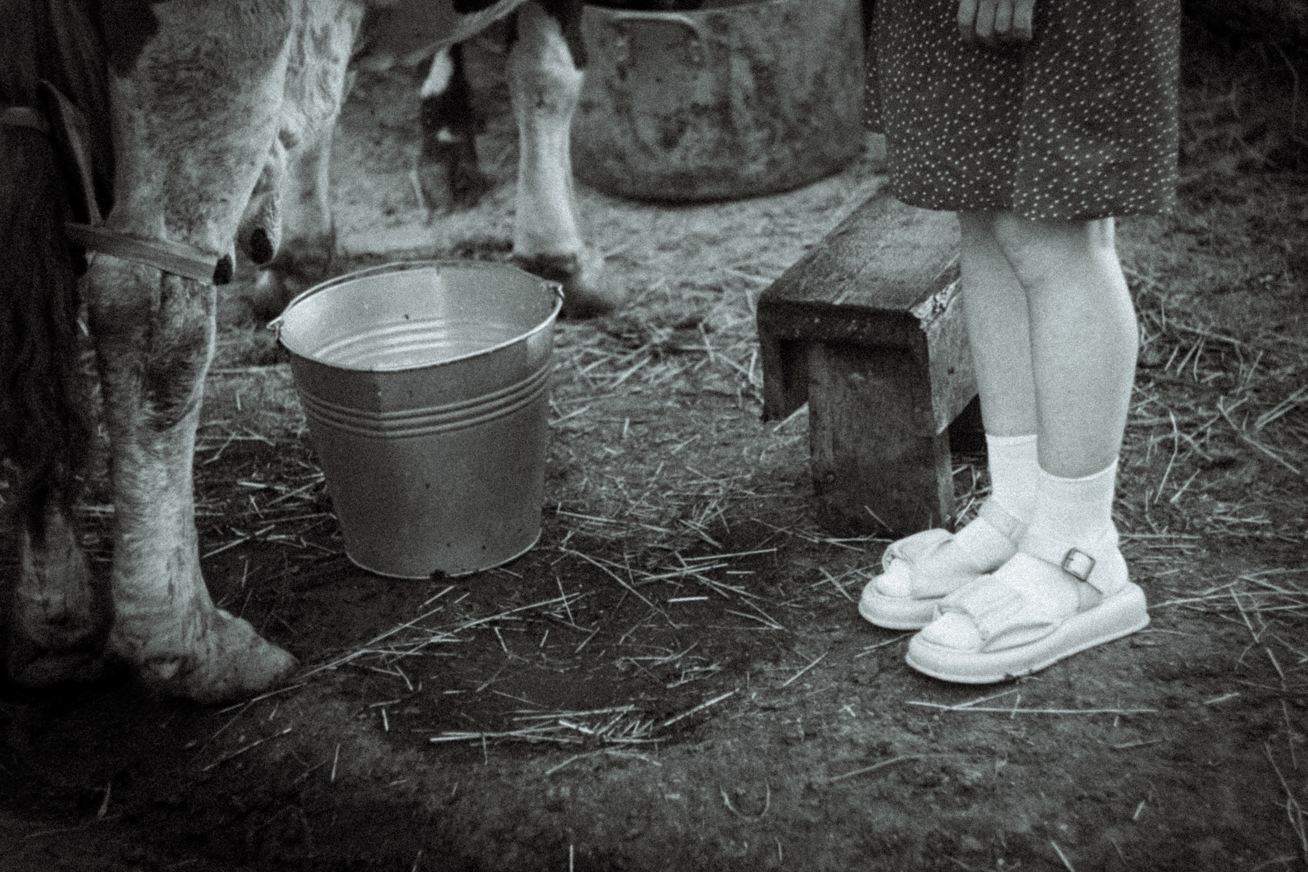 Платье в горошек. • Фотограф Александра Светозар Алчевск •