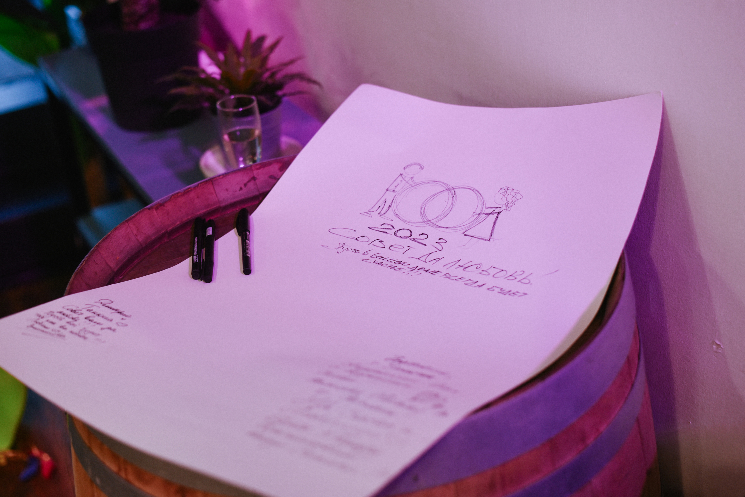 Дмитрий и Татьяна Свадебная вечеринка. Фотограф Лола Волна, город Москва