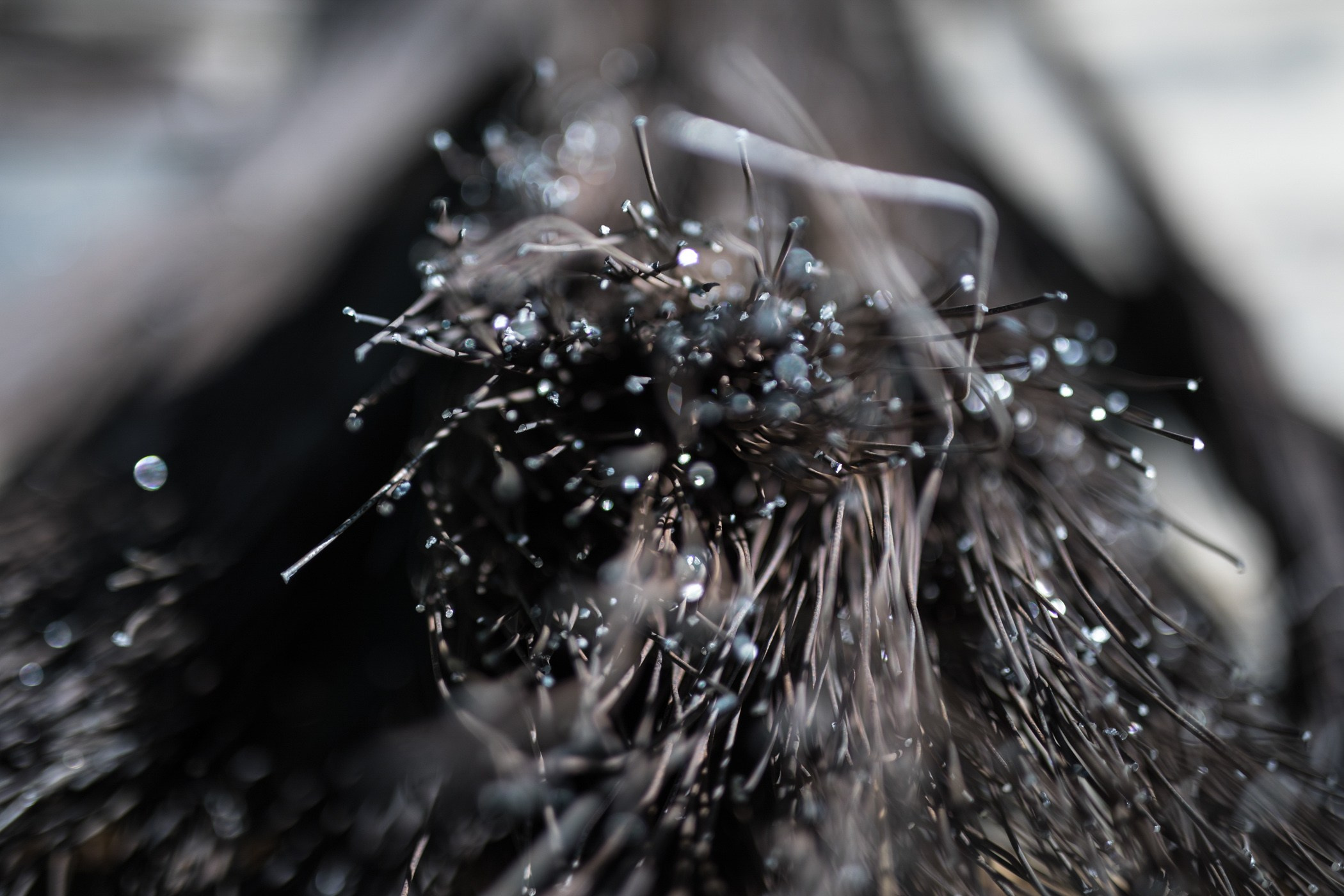 Construction. Bivol images