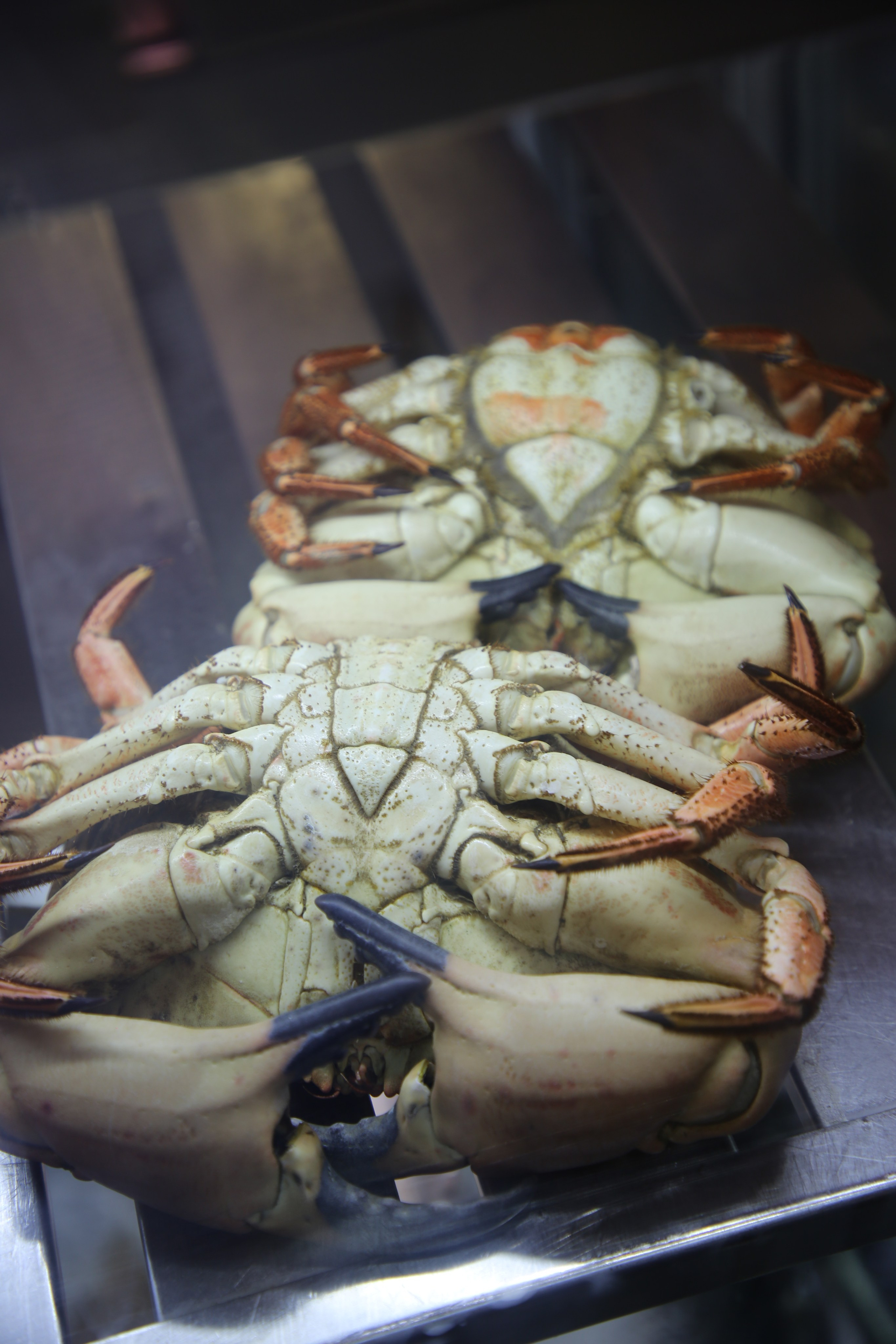 Lisbon, Portugal. Andrey Filippov Photographer