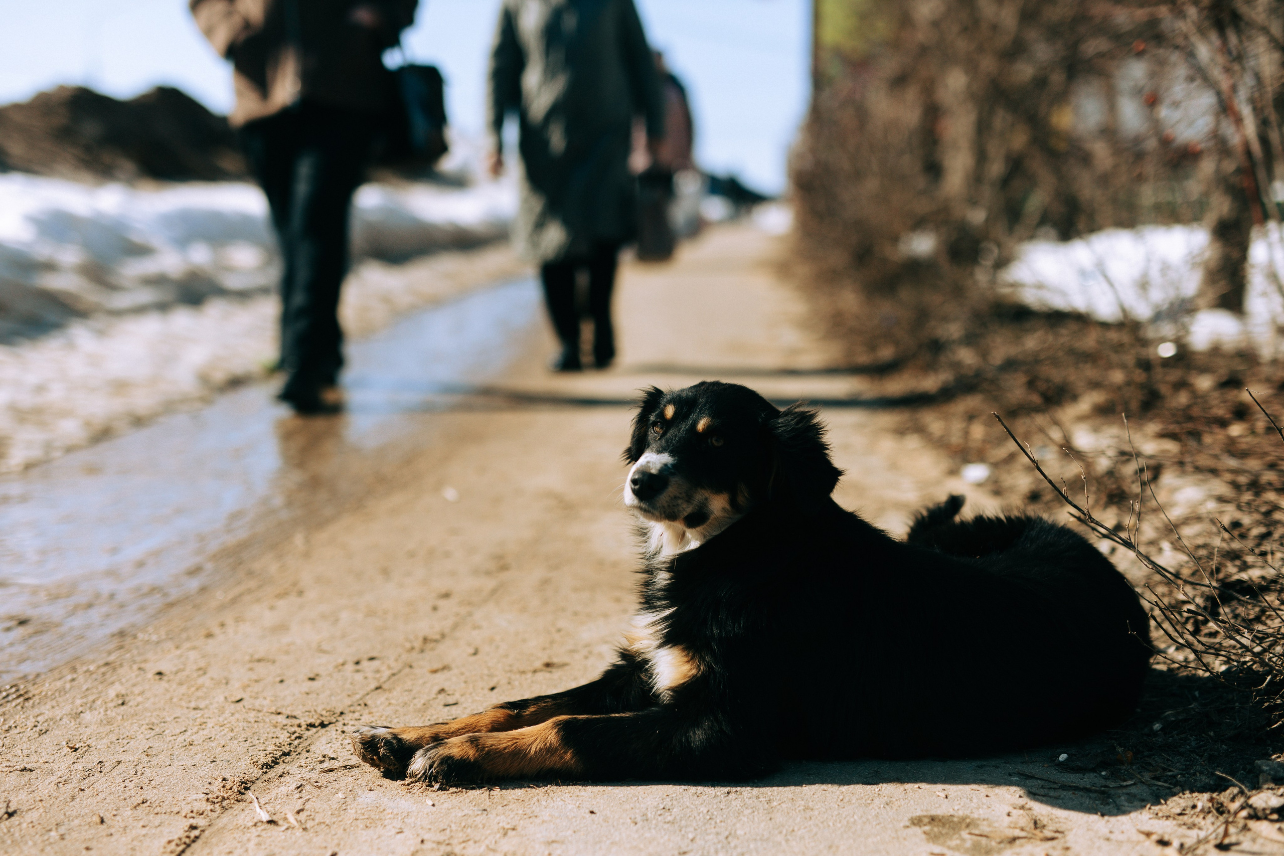Ефремов. Свадебный и портретный фотограф — Мария Костина