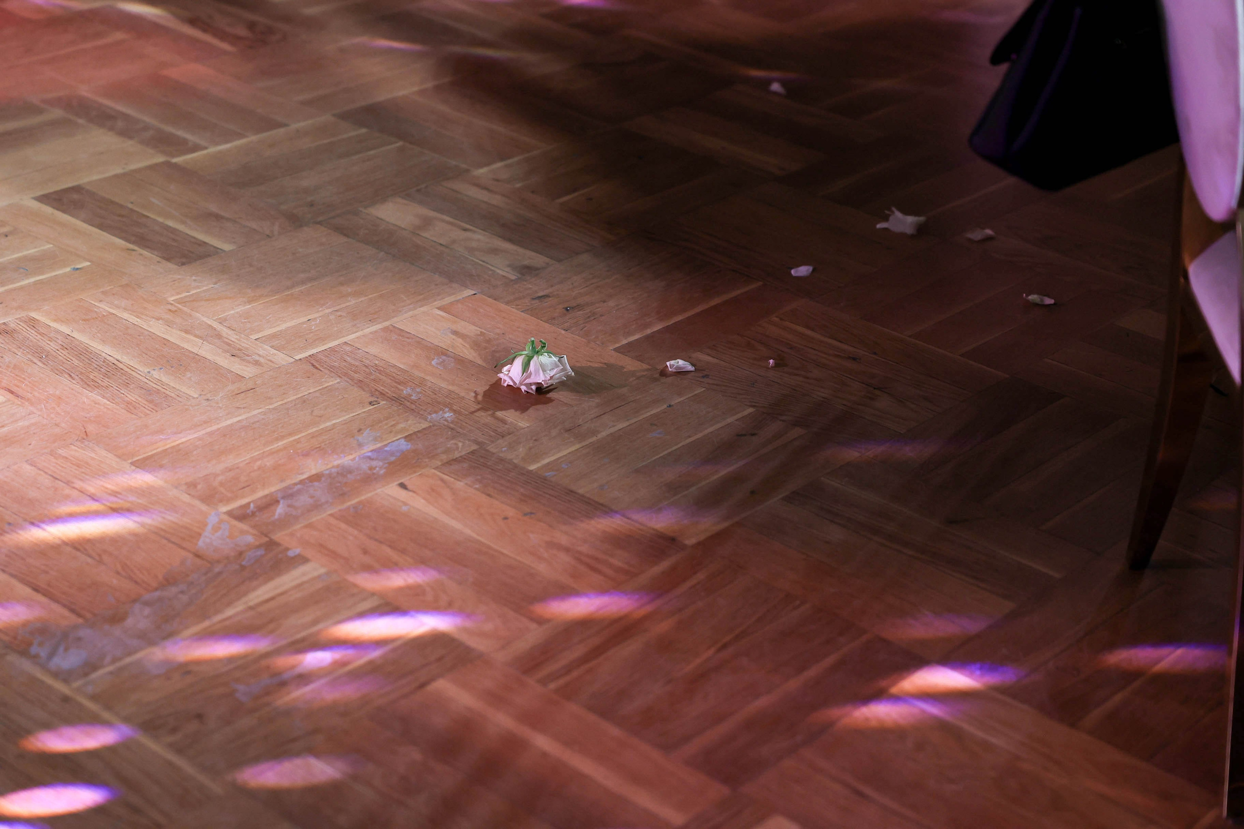 Иван и Надежда. укороченная серия. Свадебный, репортажный, фотограф Москва и Московская область