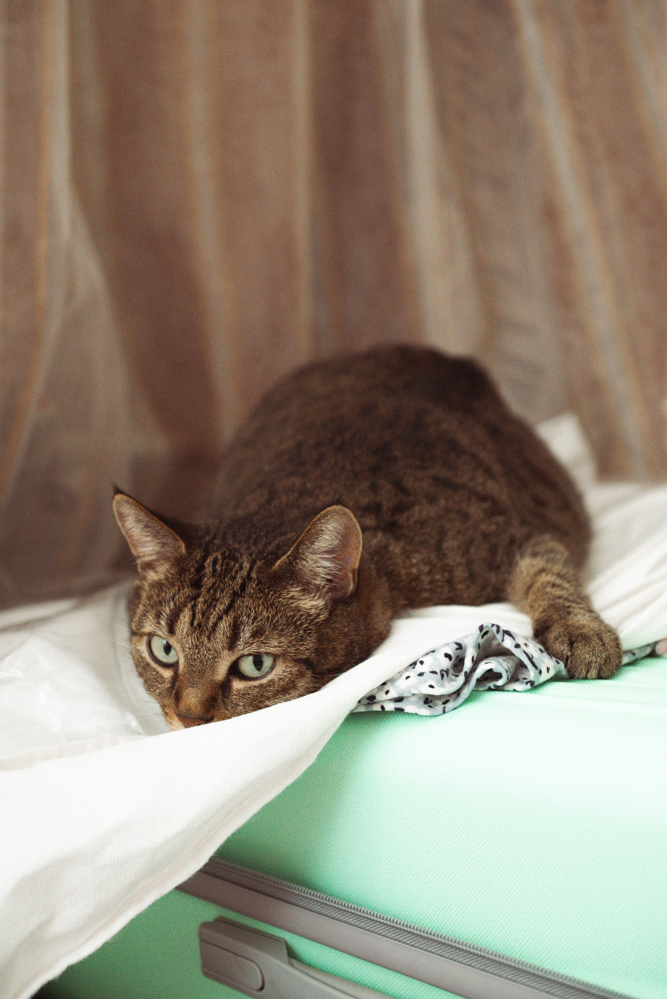 Алексей и Светлана. Контент-фотограф Москва репортажный фотограф Настя Профото