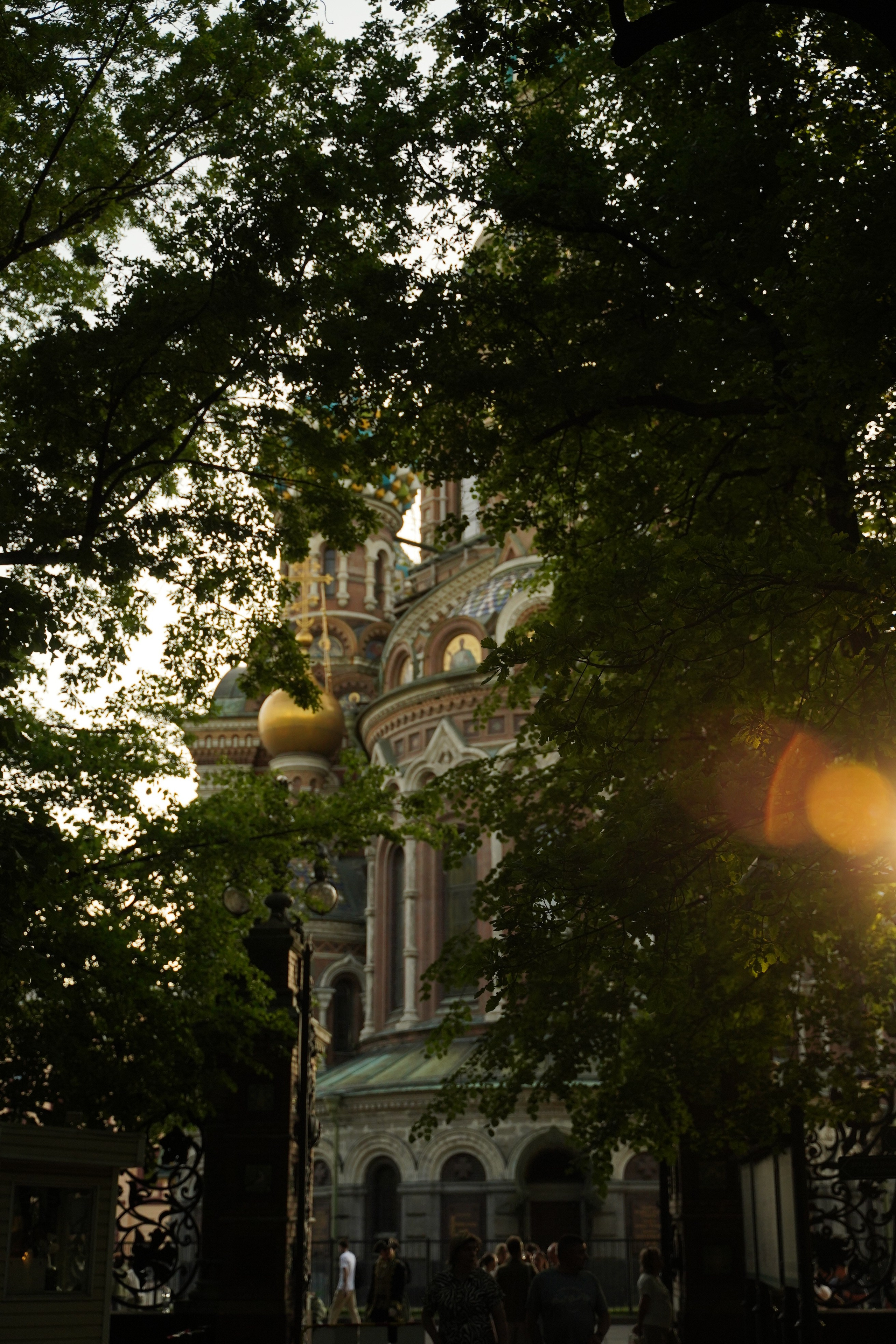 Репортажная съемка. Плешакова Дарья фотограф в Калуге