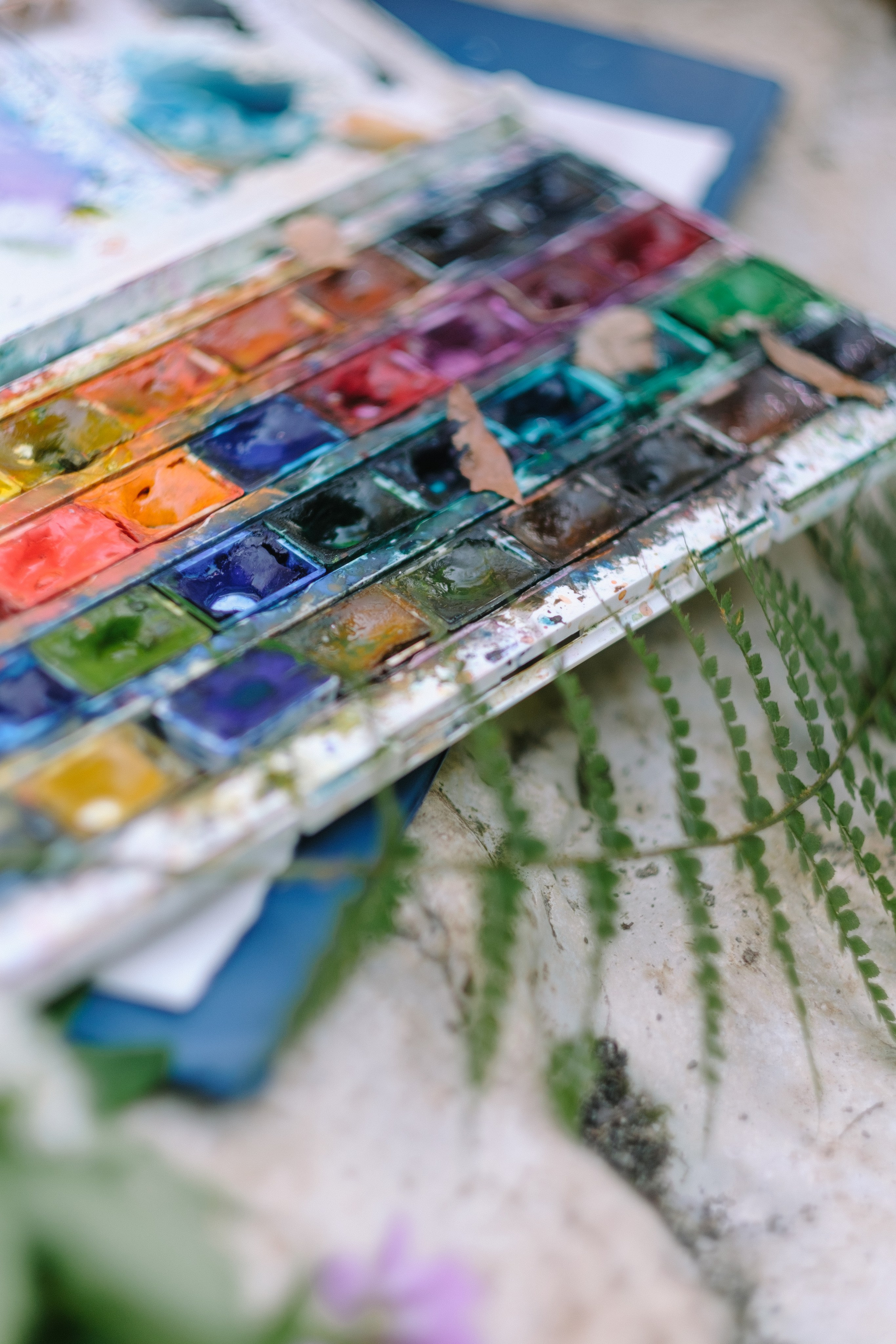 Белые скалы. Свадебный Видеограф Фотограф в Сочи