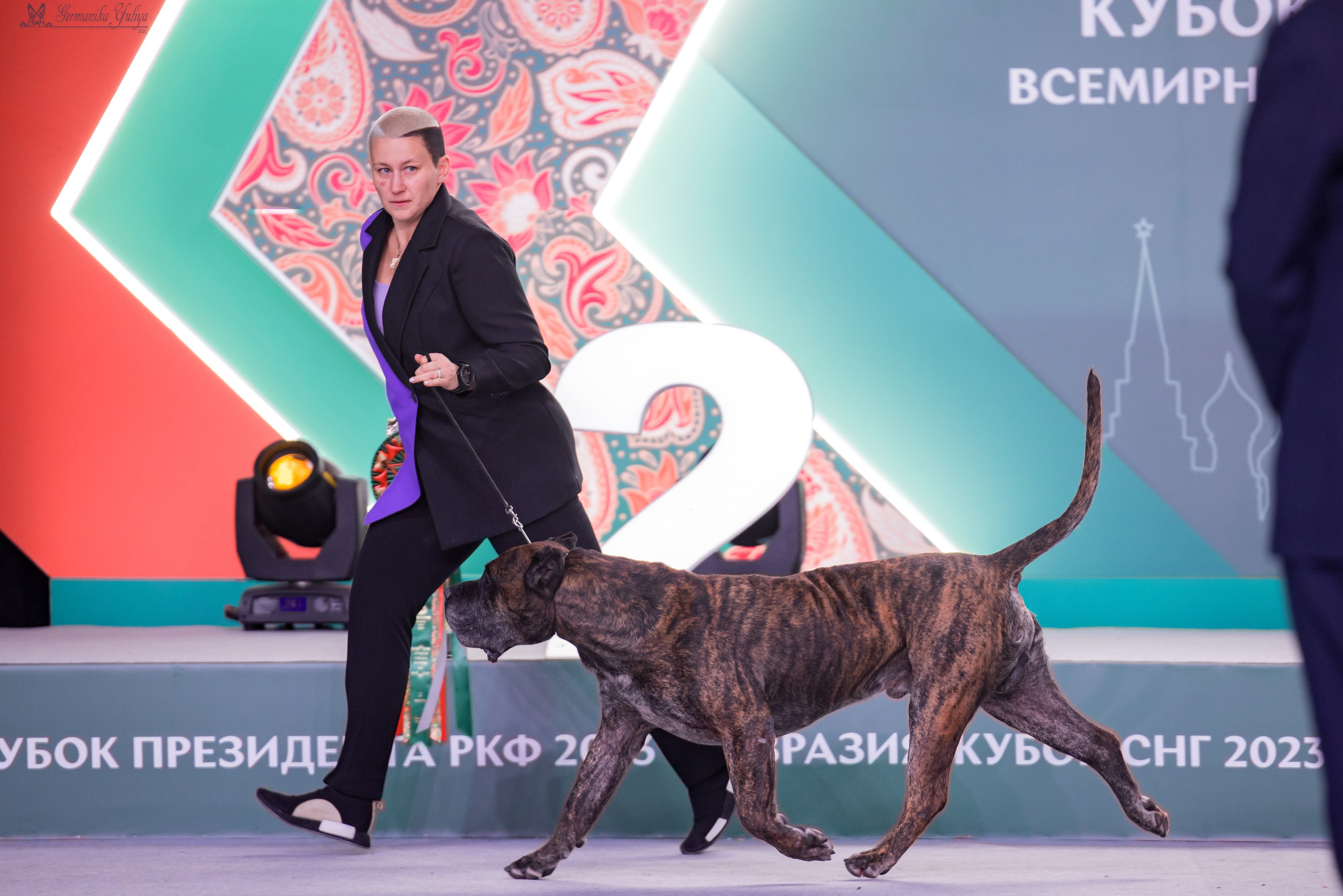 ЕВРАЗИЯ 18-19.11.2023. Фотограф-анималист Юлия Германика