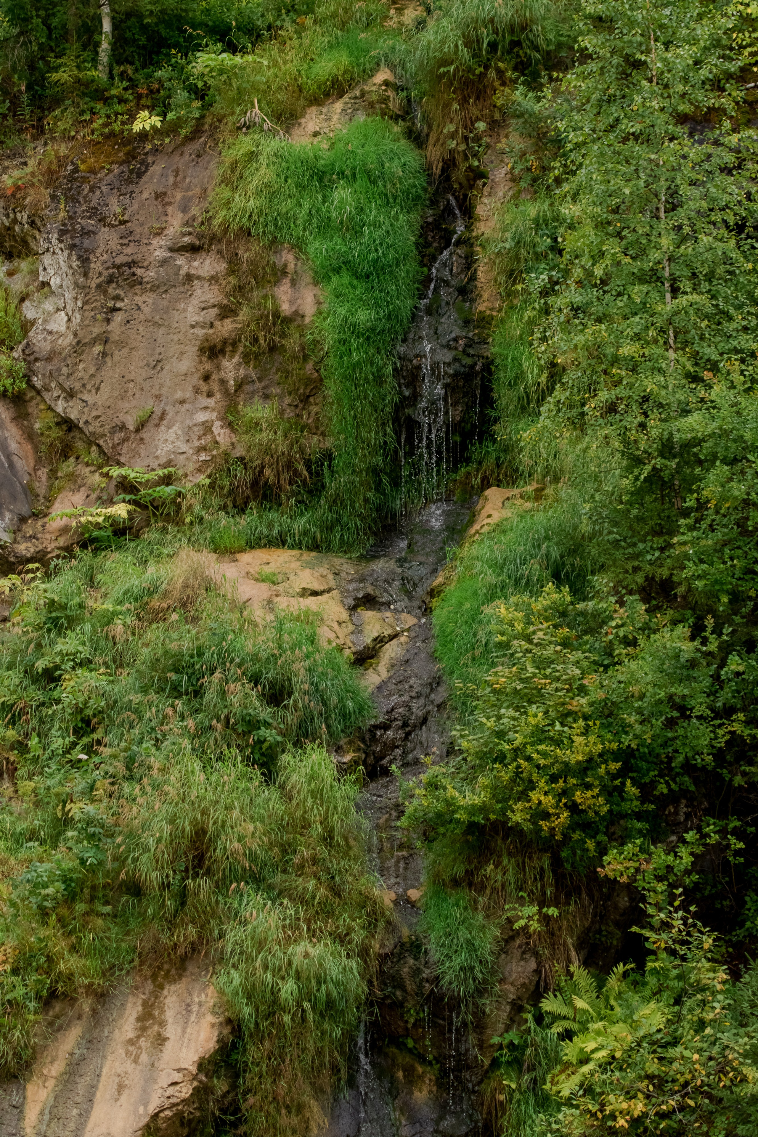 Фототур Кия. Фотограф Кирилл Мешков Кемерово