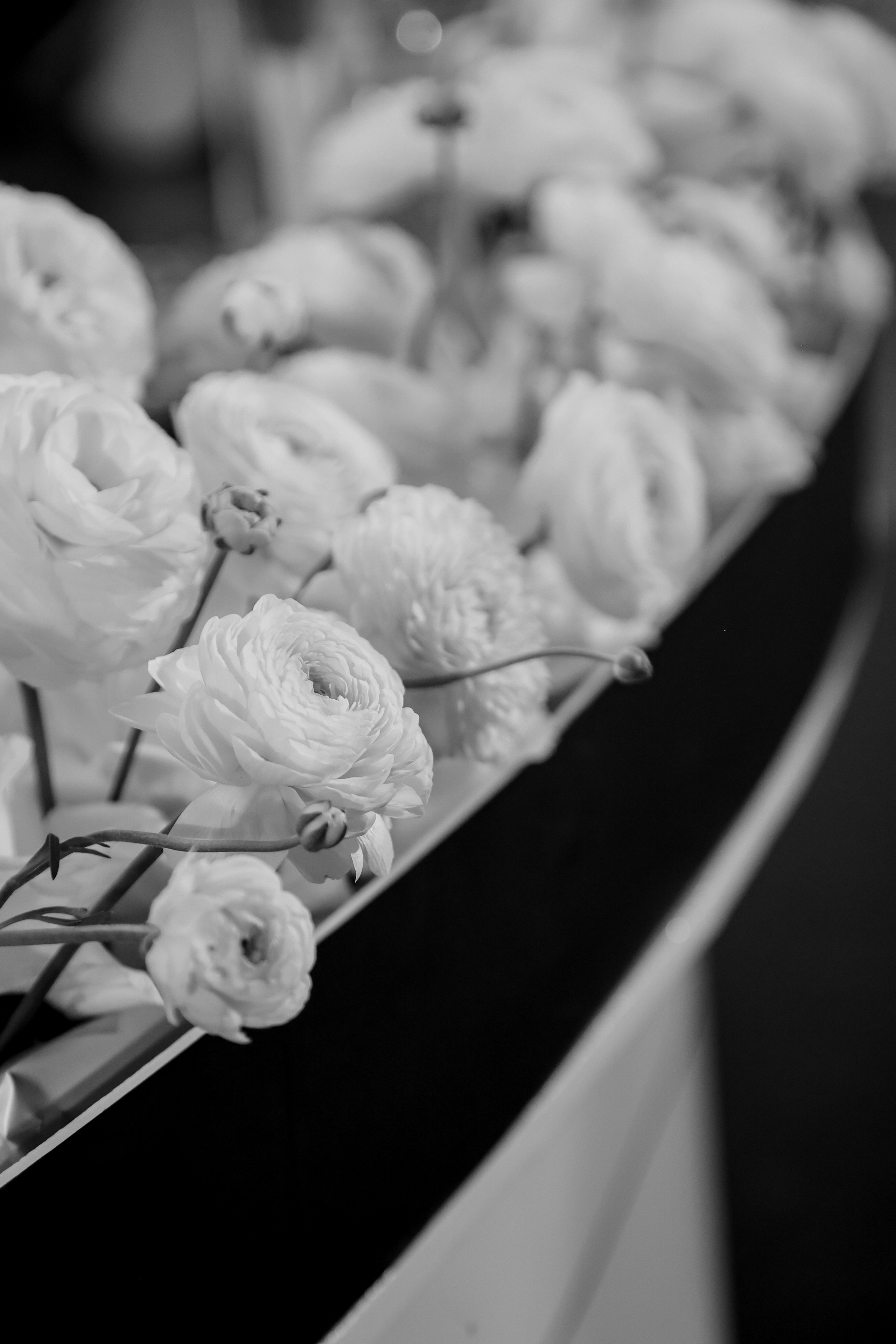 Нити Времени. Свадебный фотограф Ольга Веремчук