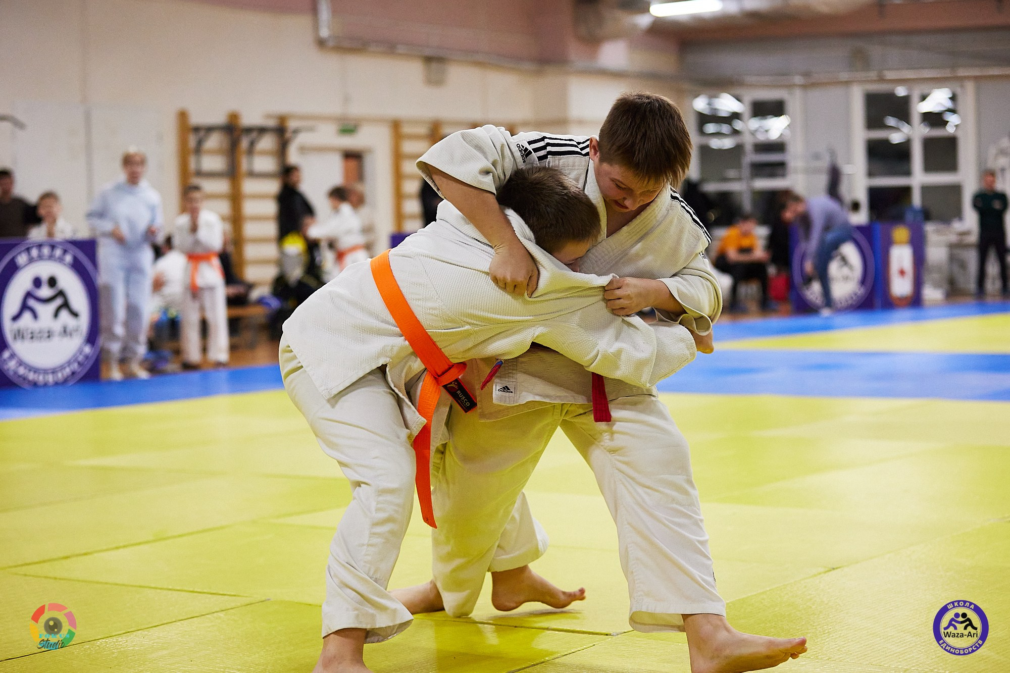 Репортаж Турнир по дзюдо. Спортивный фотограф Некрасов Денис