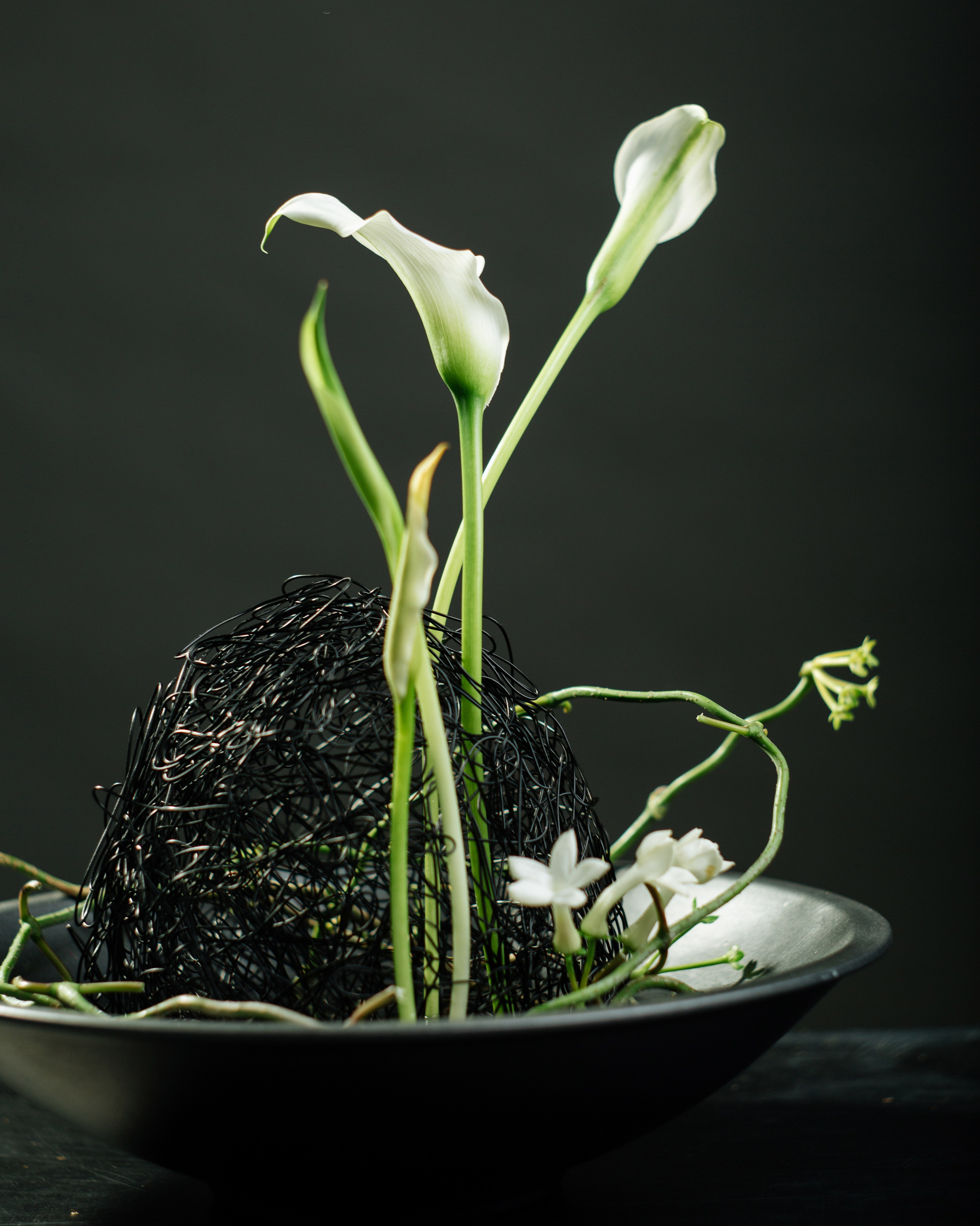 Denis. Lena Sorokina photographer, Astana, Kazakhstan