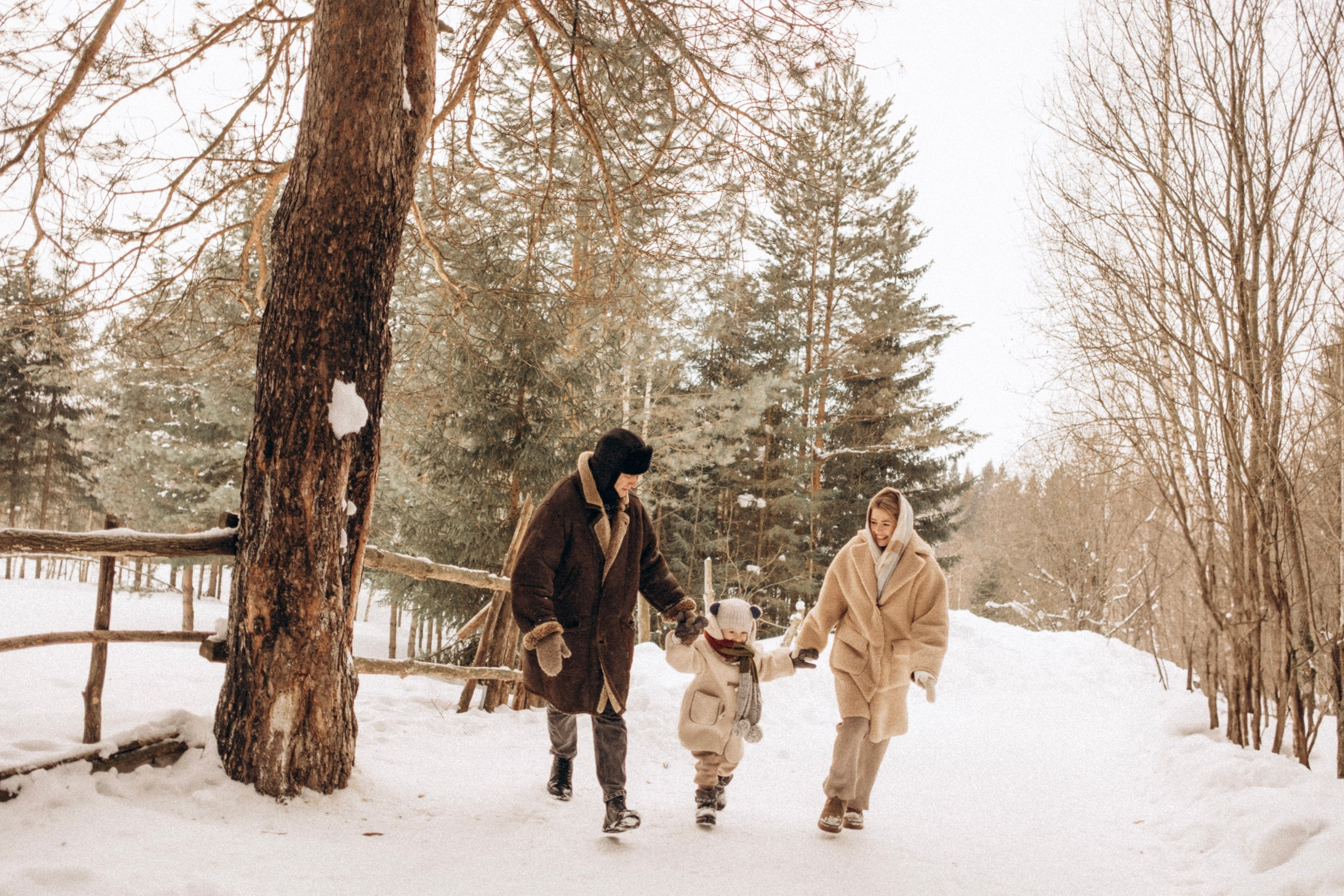 Зимняя история. Главная