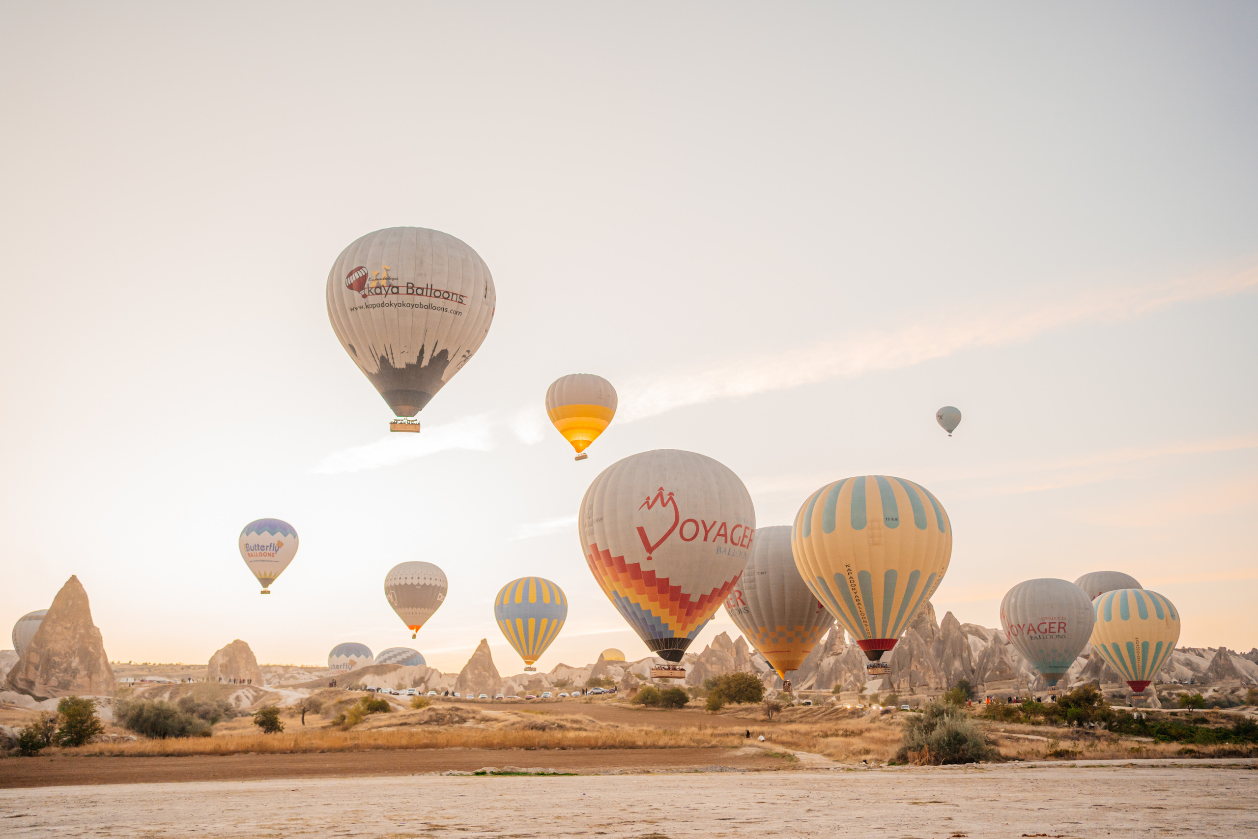Юлечка. Семейный фотограф, фотосессия беременности в Новосибирске Кристина Киб
