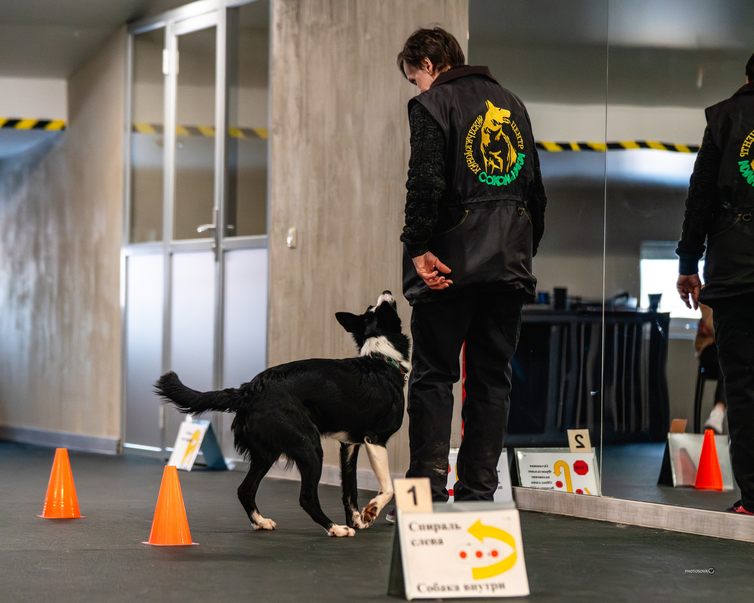 ТЫ И Я (соревнования по ралли-обидиенс). Фотограф-анималист, семейный фотограф в Москве и Подмосковье. Фотосъёмка кинологических дисциплин