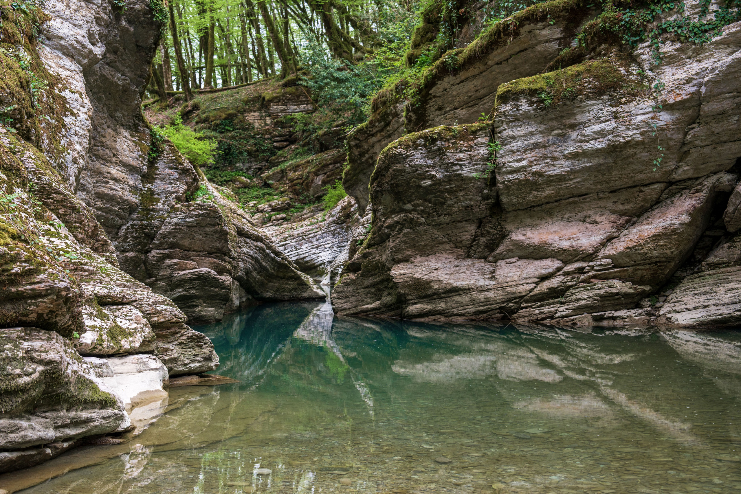 MICE мероприятие — джиппинг на каньон Псахо. Репортажный фотограф в Красной Поляне и Сочи Павлюченко Екатерина