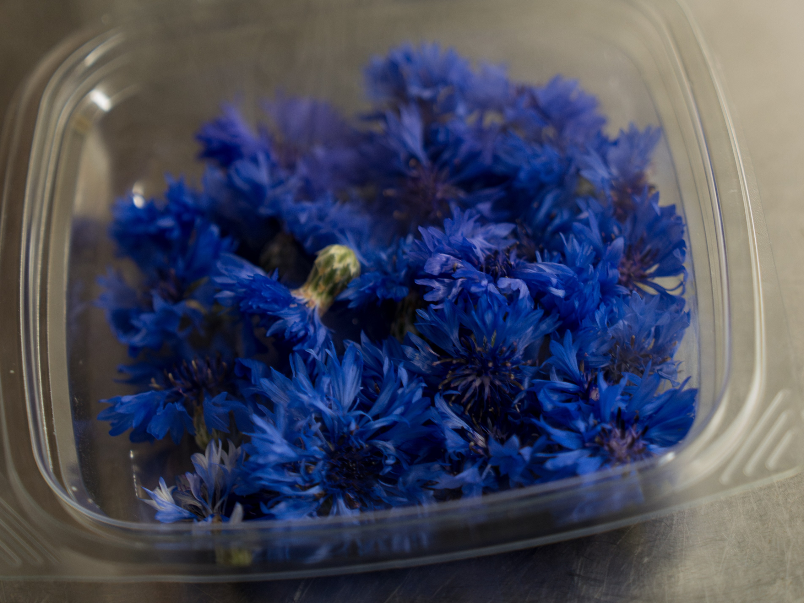 Гастрономический ужин «Лесная Италия» с Мирко Дзаго в ресторане RiverSide. Репортажный фотограф в Красной Поляне и Сочи Павлюченко Екатерина