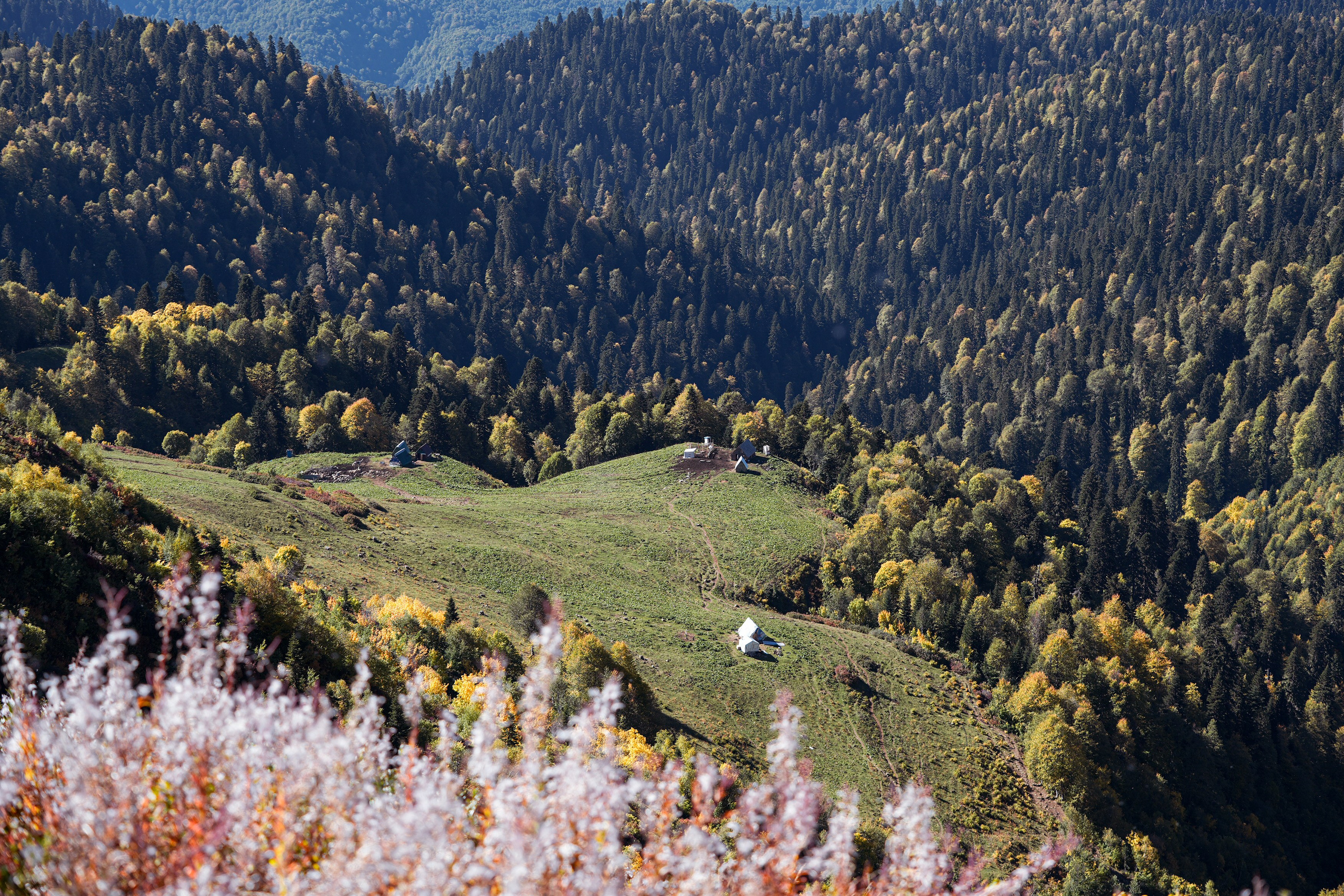 Ыаывы. Репортажный фотограф в Красной Поляне и Сочи Павлюченко Екатерина