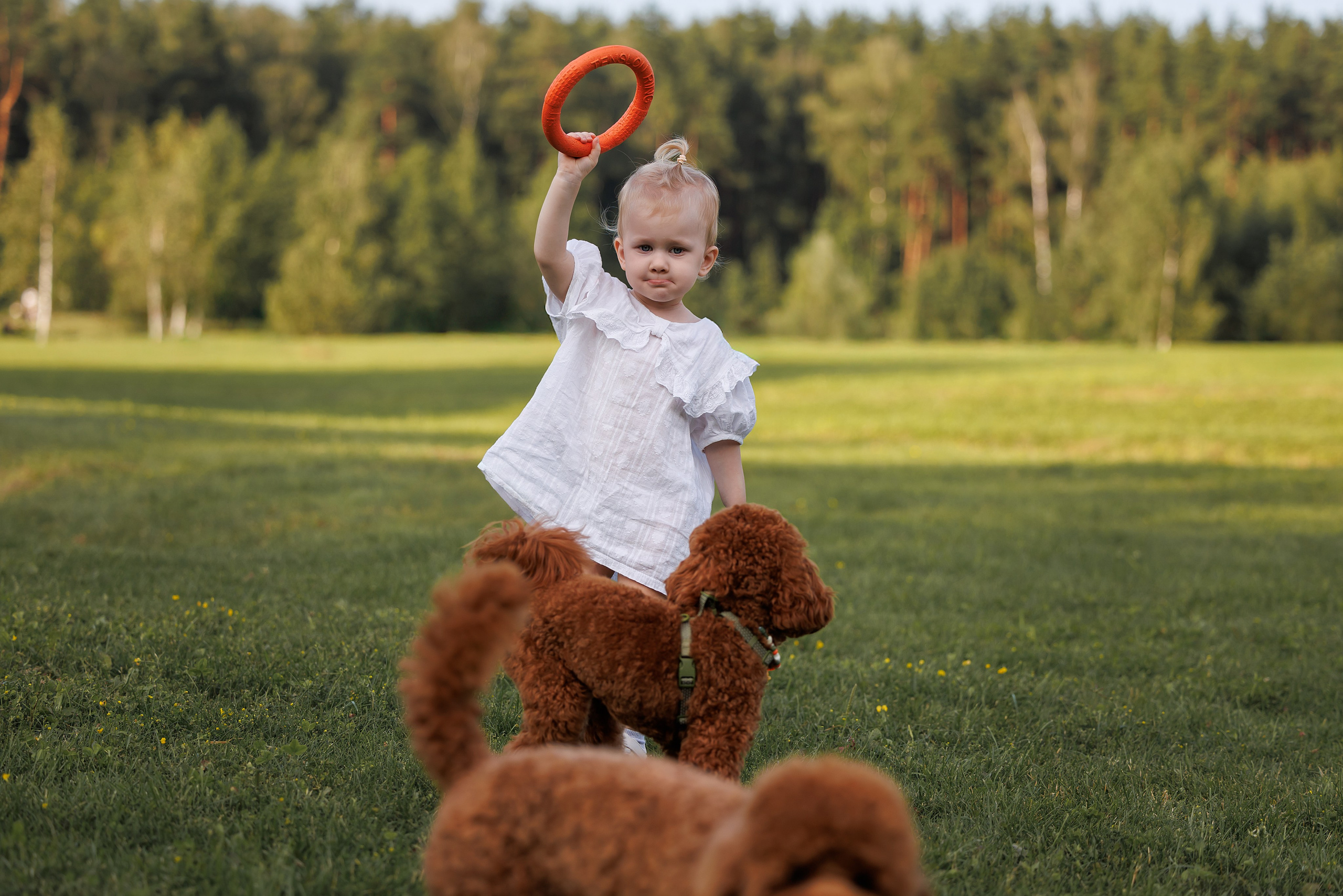 Алина и Лариса. Фотограф Анималист в Москве Анастасия Жучкова