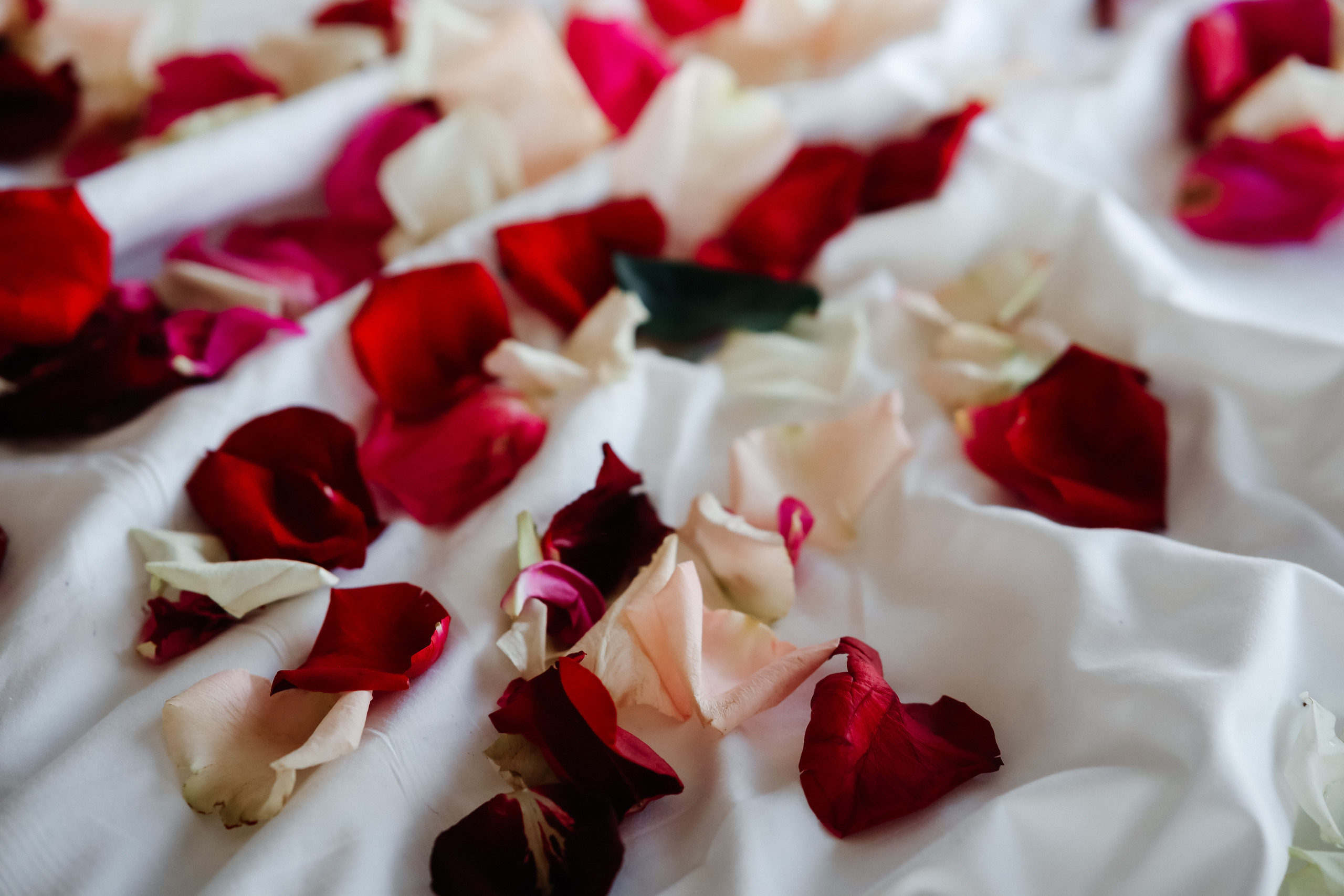 Александр и Евгения (Radisson Blu). Семейный и свадебный фотограф в Москве Ксения Герасимова