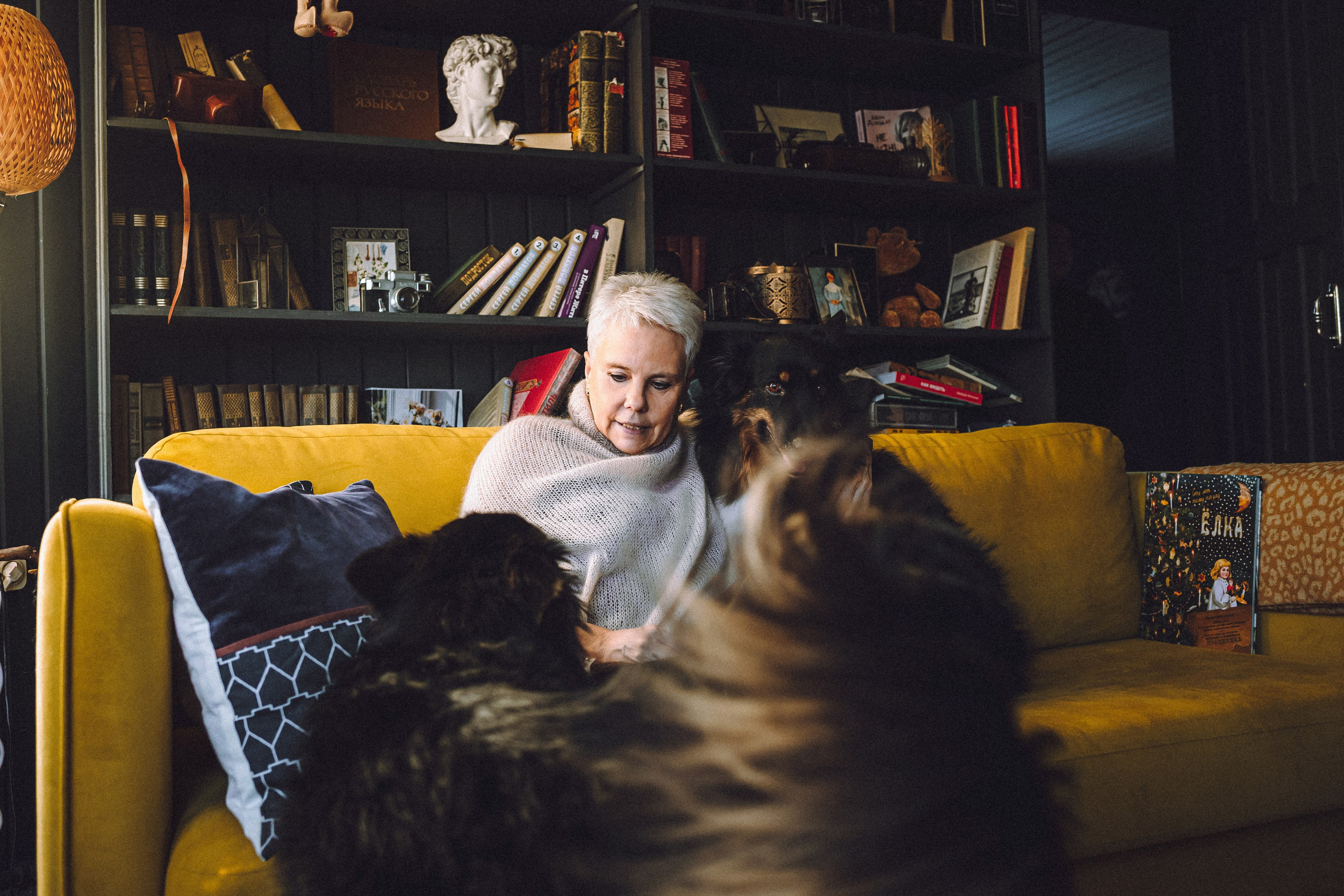 Плюш, Айса и их семья