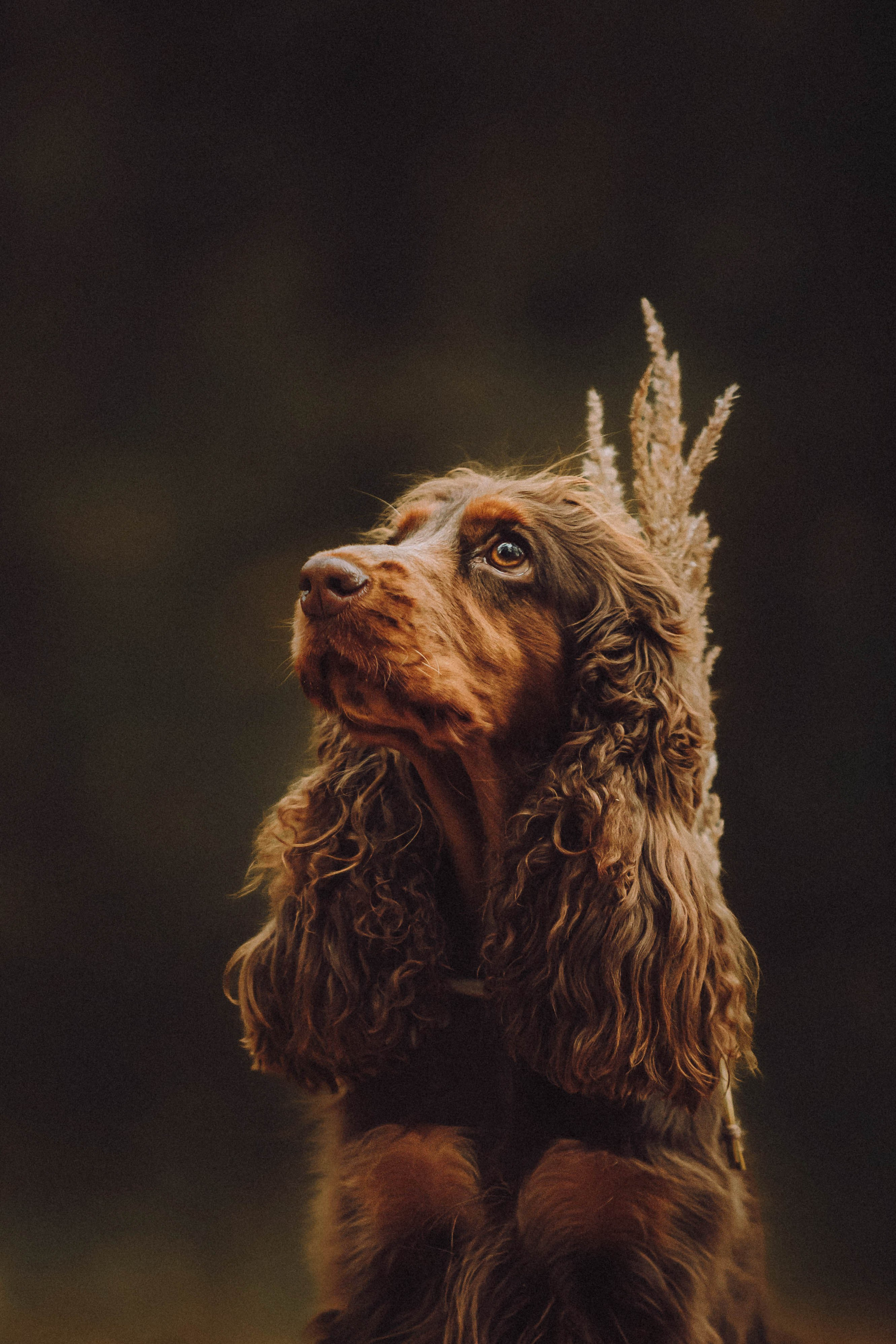 Настя, Саша и Эстер