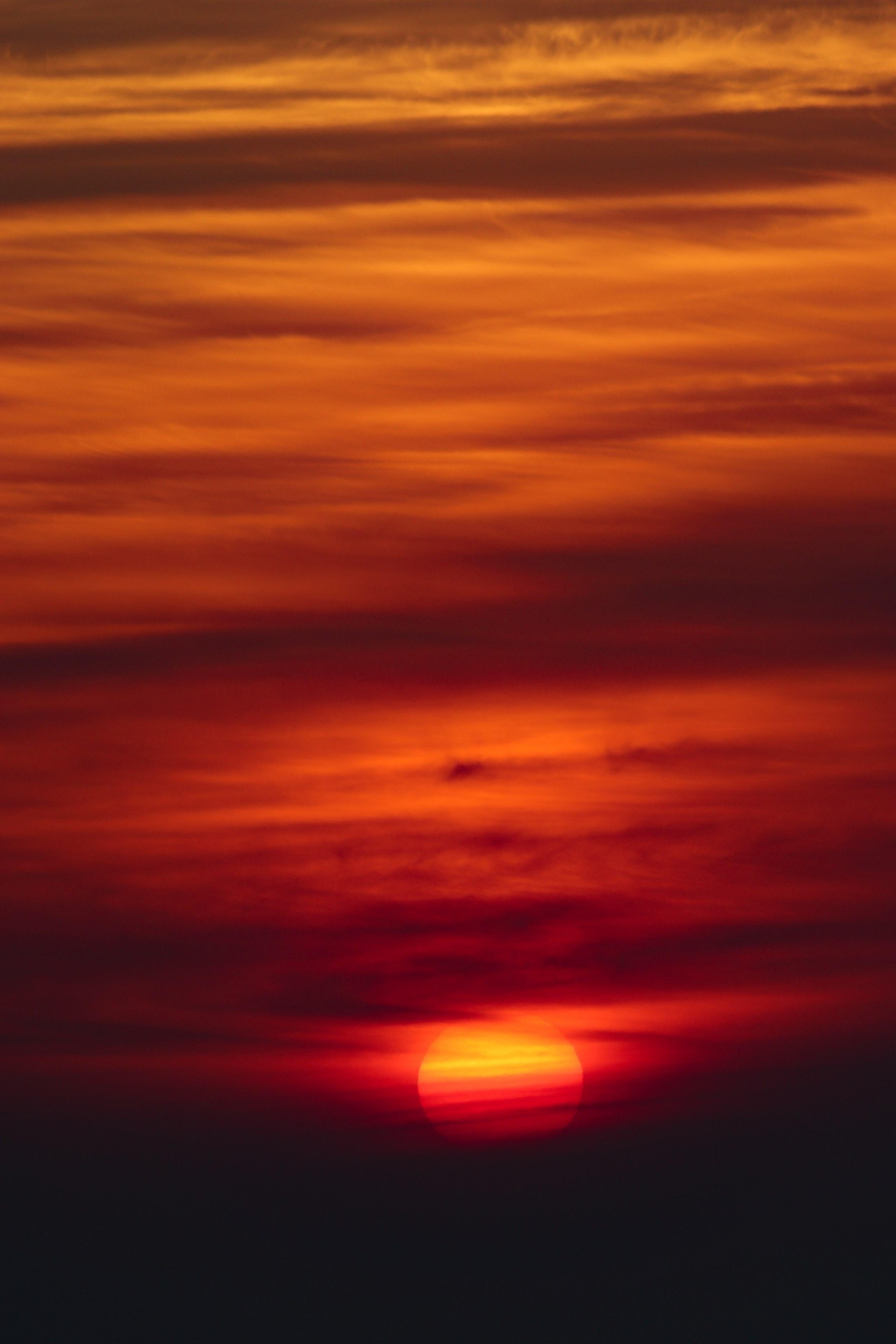 З А К А Т Ы. — Digital Noise —