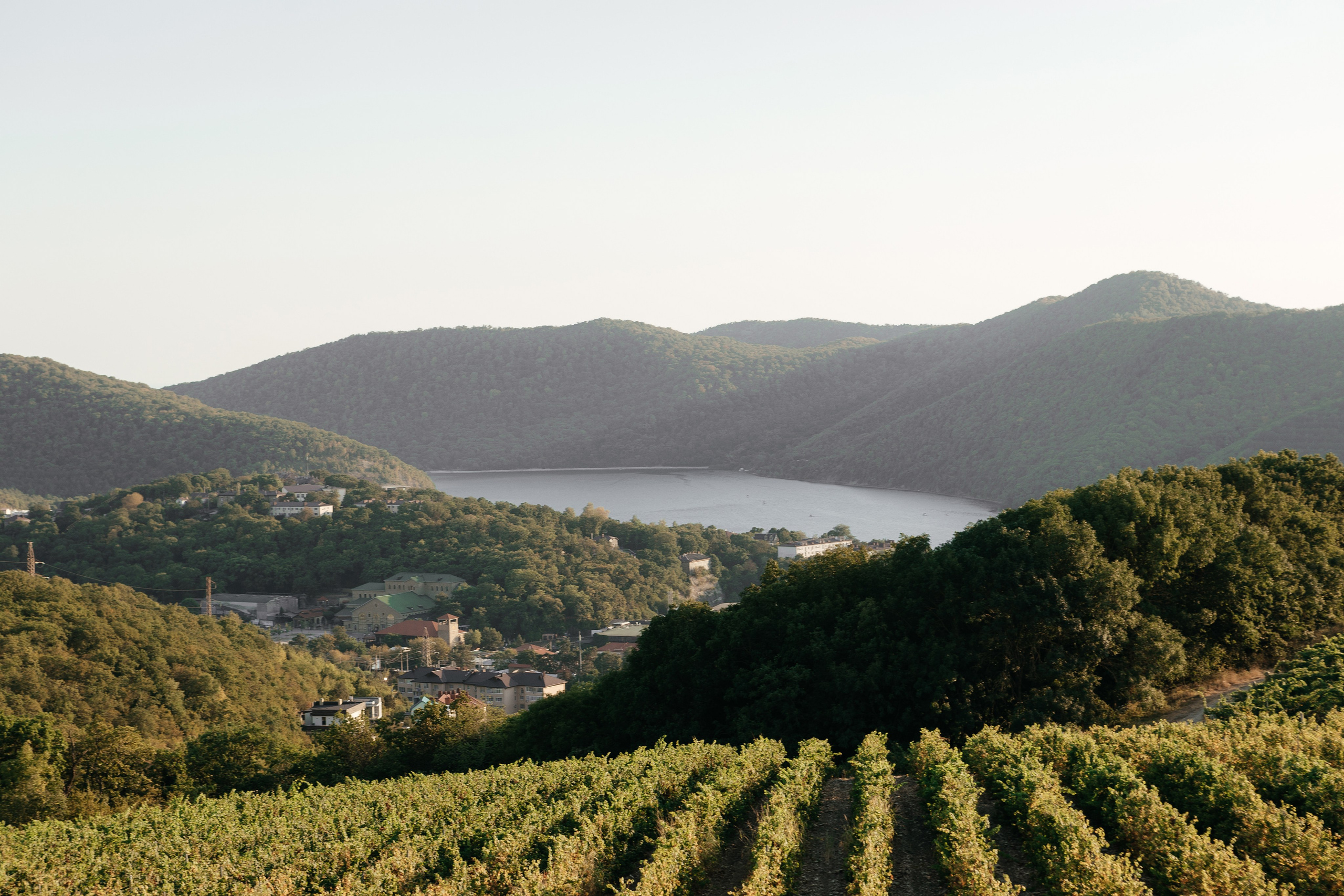 Сергей и Татьяна. Свадебный фотограф Алина Поддубная