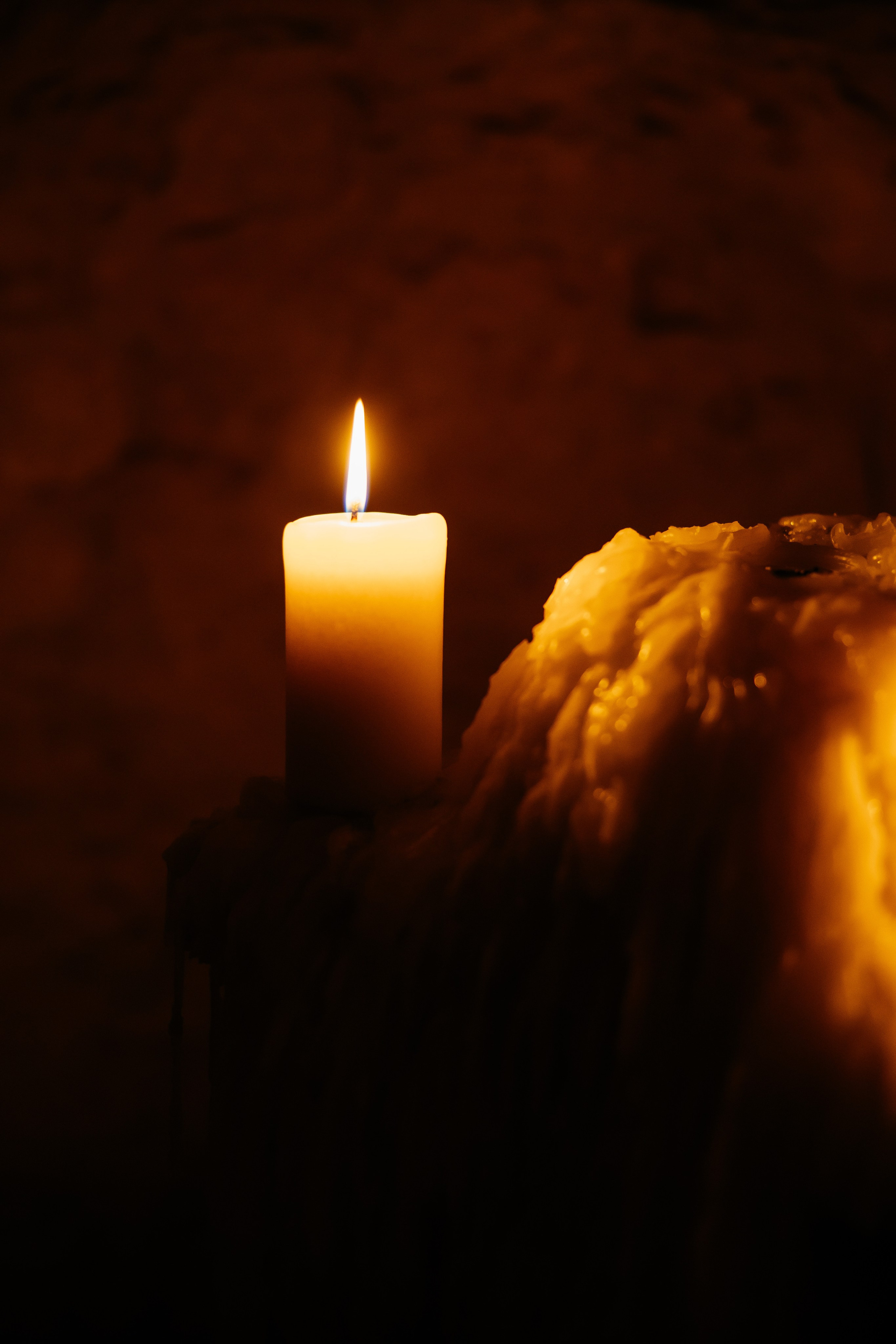 ДИДИ. Фотограф в Москве Рышкевич Полина