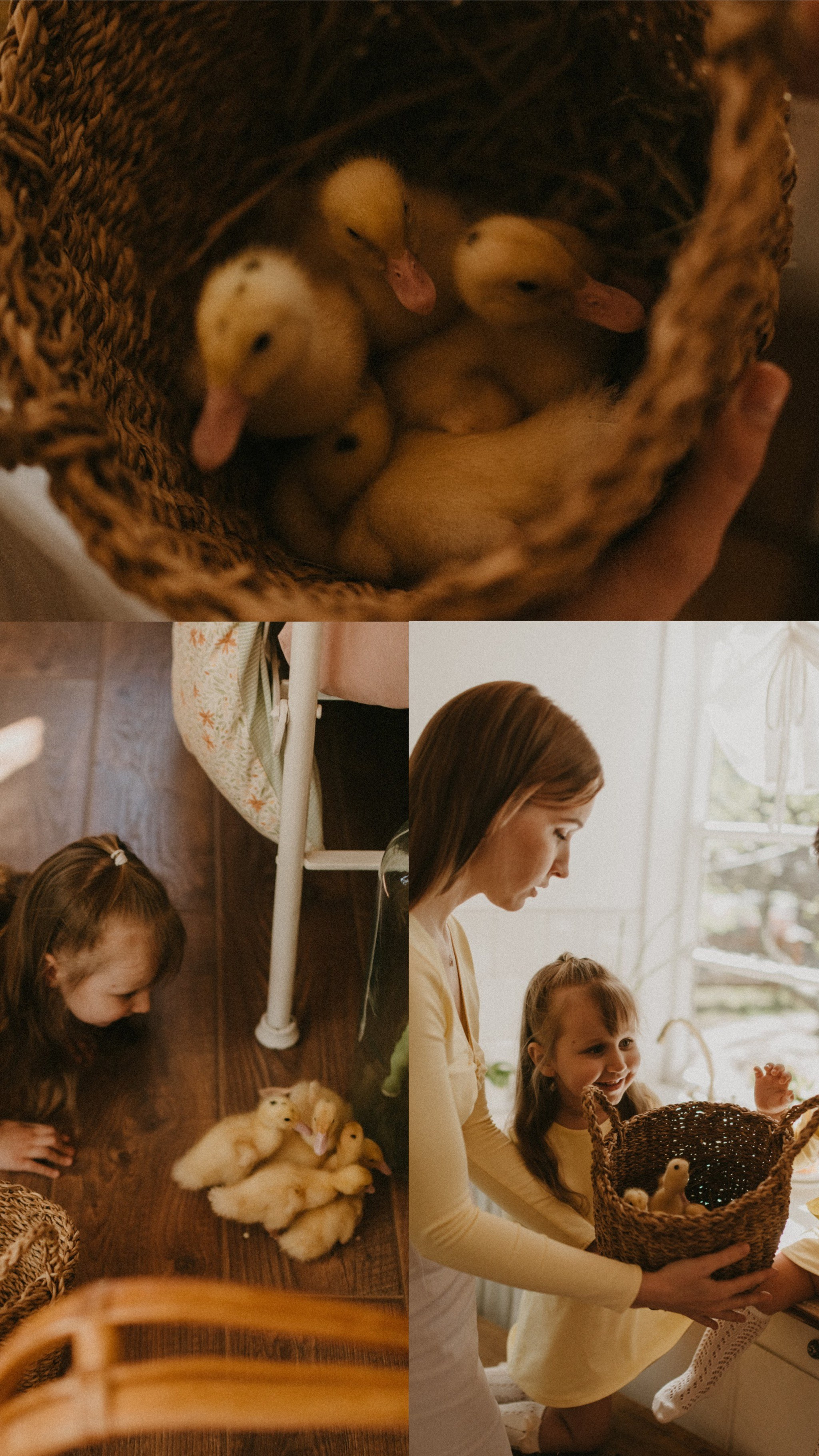 Фотосессии с утятами. Семейный фотограф в Москве Екатерина Денисенко | Фотосессии без постановки дома и в студии