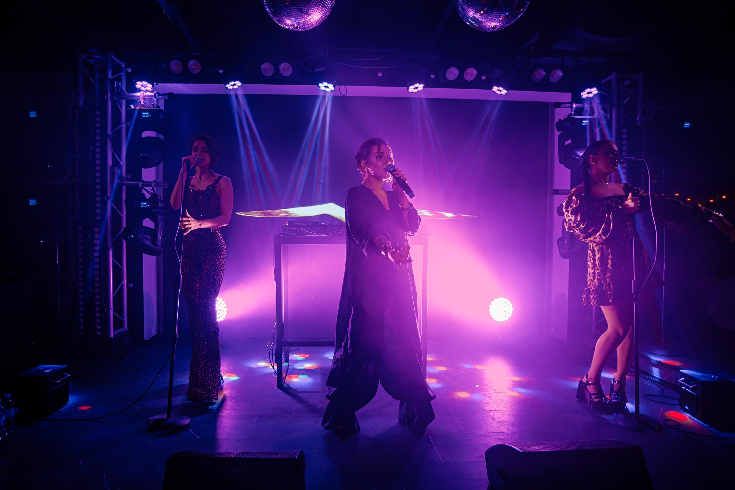 «LIZWI"_Чайка на пляже_Ялта_7.06.2025. Аминов Руслан | Фотограф