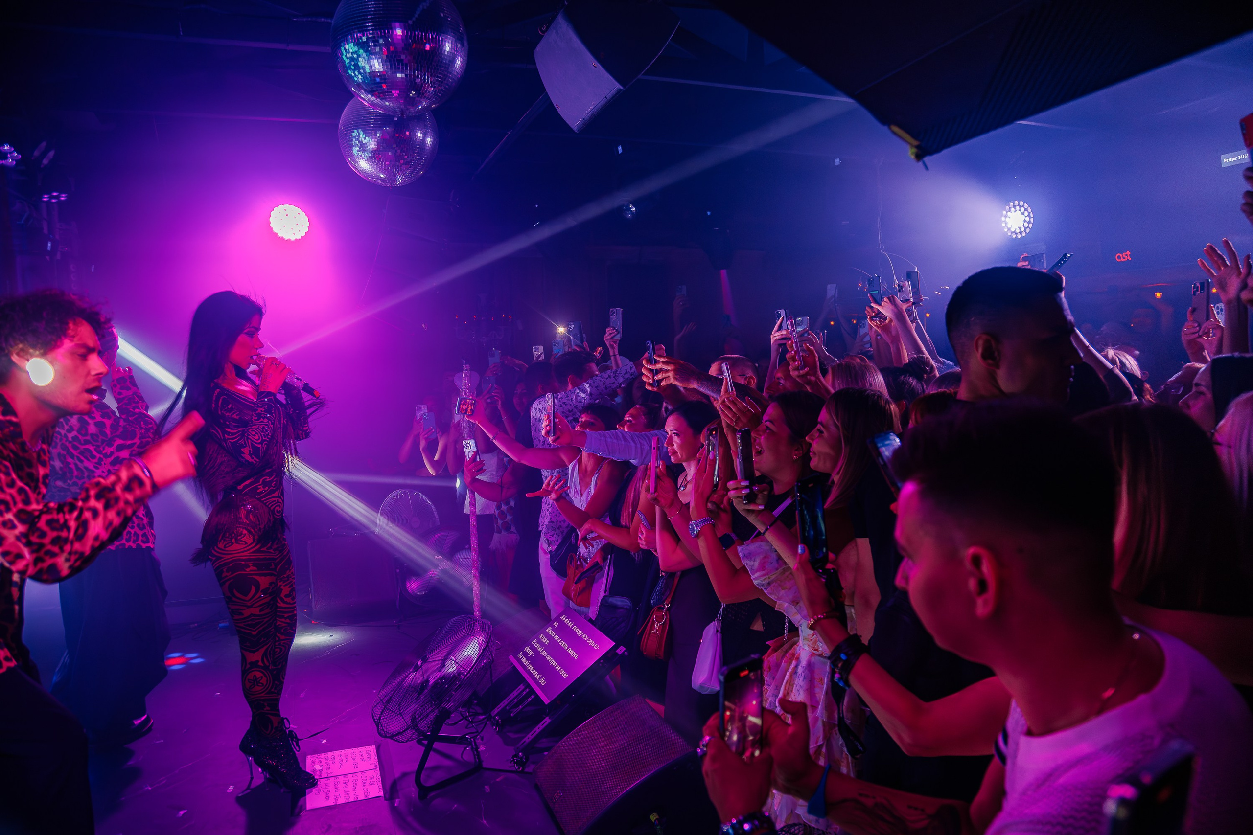 «Бьянка"_Чайка на пляже_Ялта_25.07.2025 г. Аминов Руслан | Фотограф