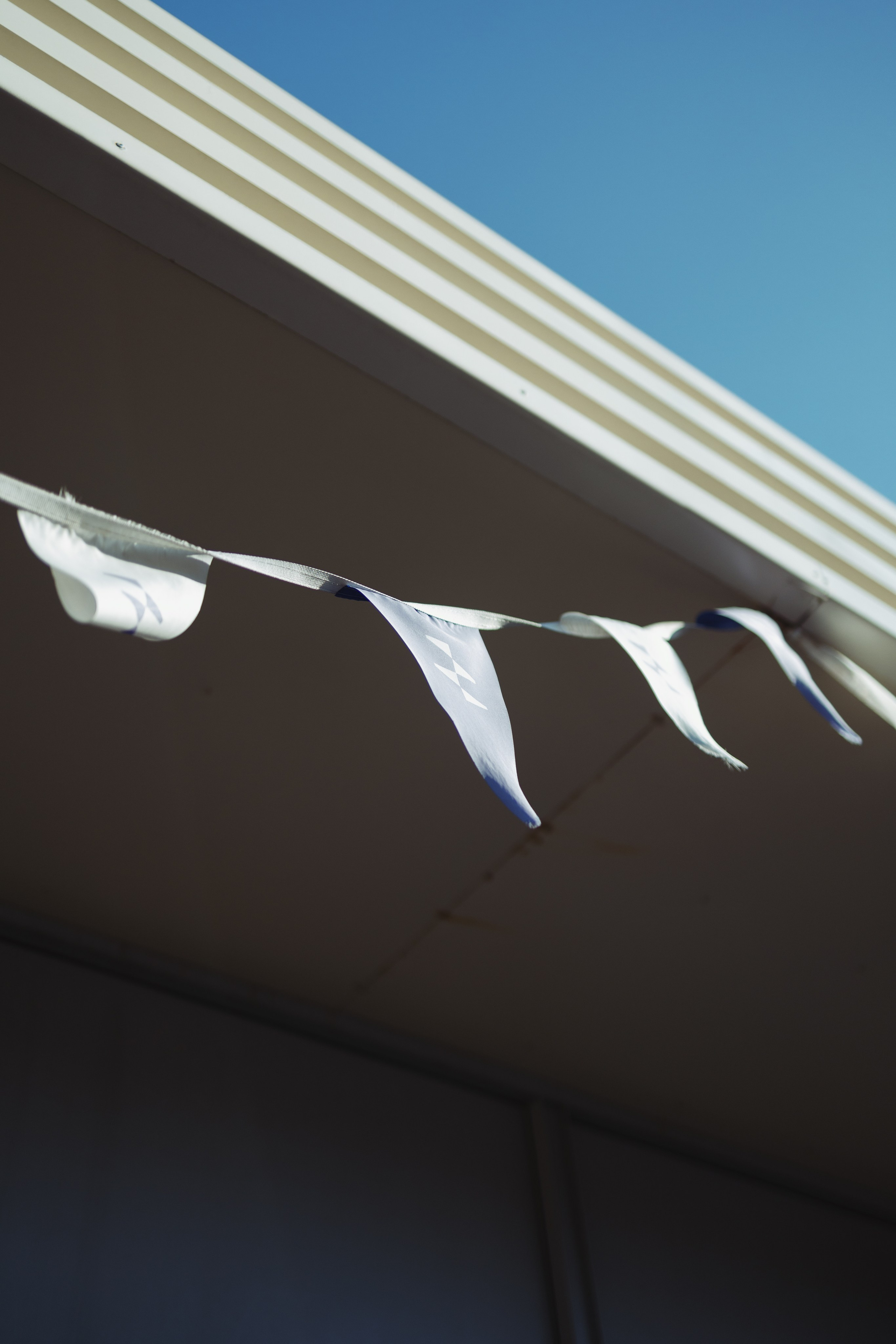 VTR — ZVENIGOROD EXPRESS RIDE. Фотограф Александр Тулупов