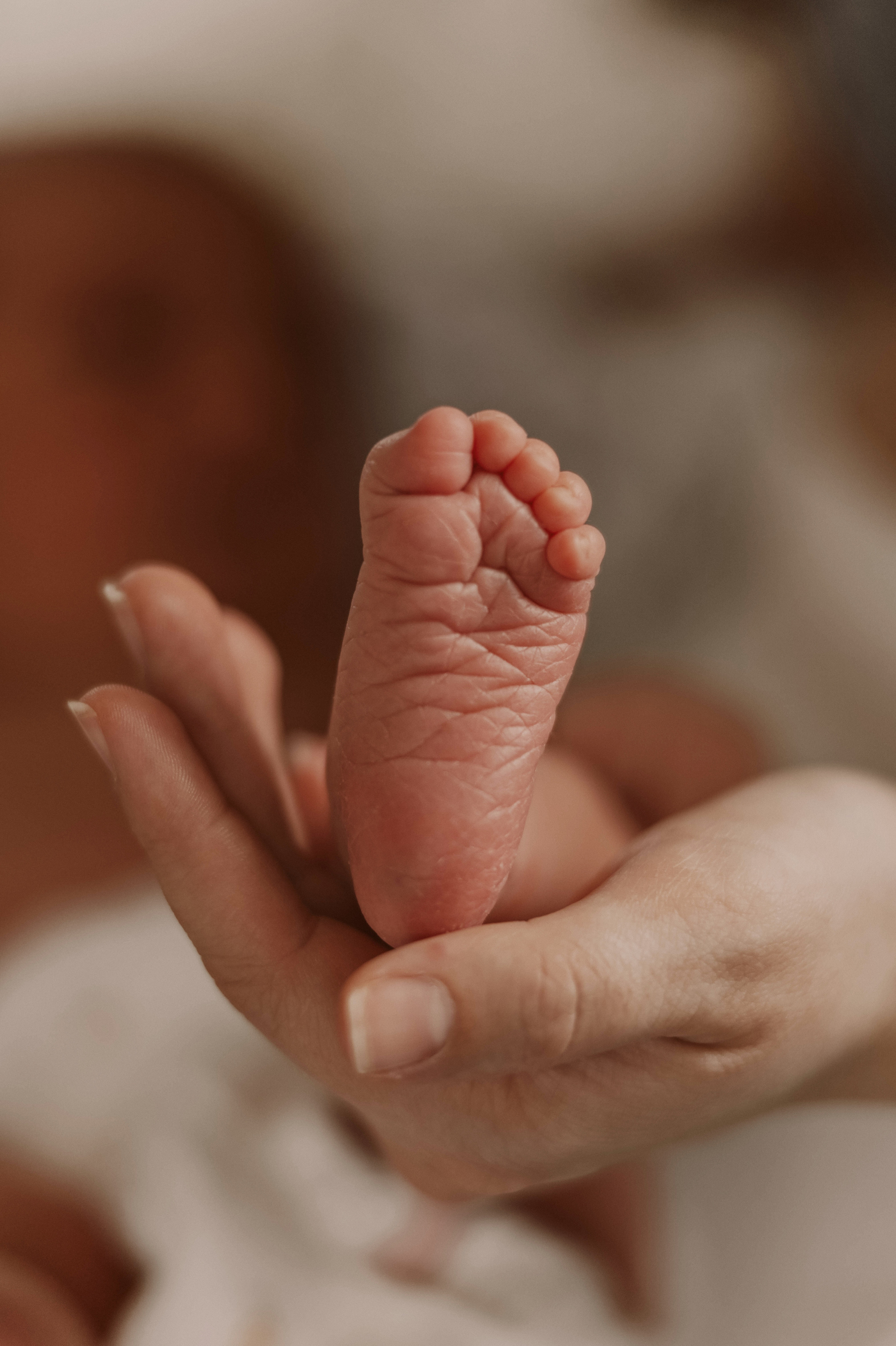 Фотосессия новорожденной Оливии. Фотограф в Санкт-Петербурге Татьяна Власова