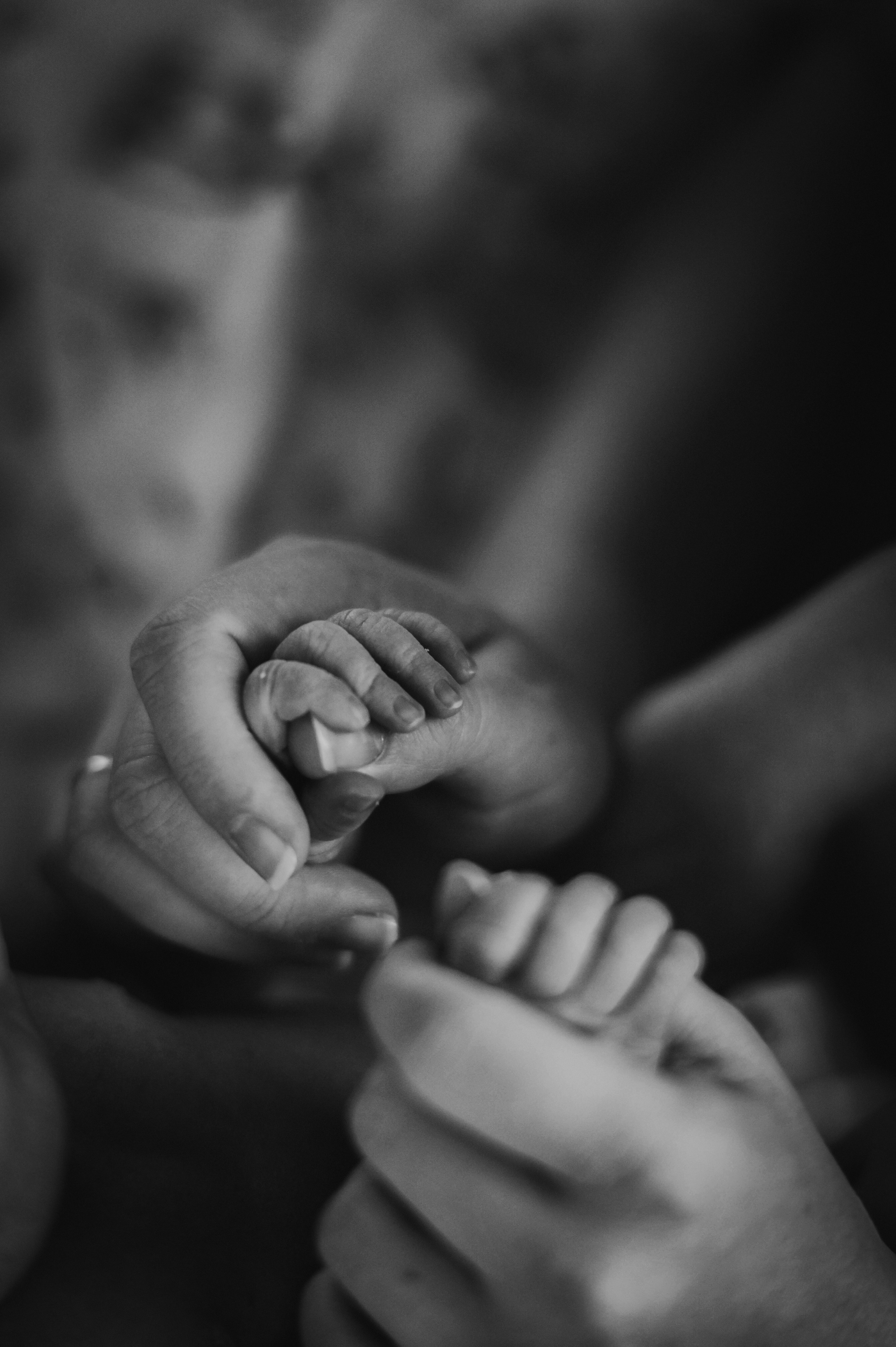 Фотосессия новорожденной Оливии. Фотограф в Санкт-Петербурге Татьяна Власова