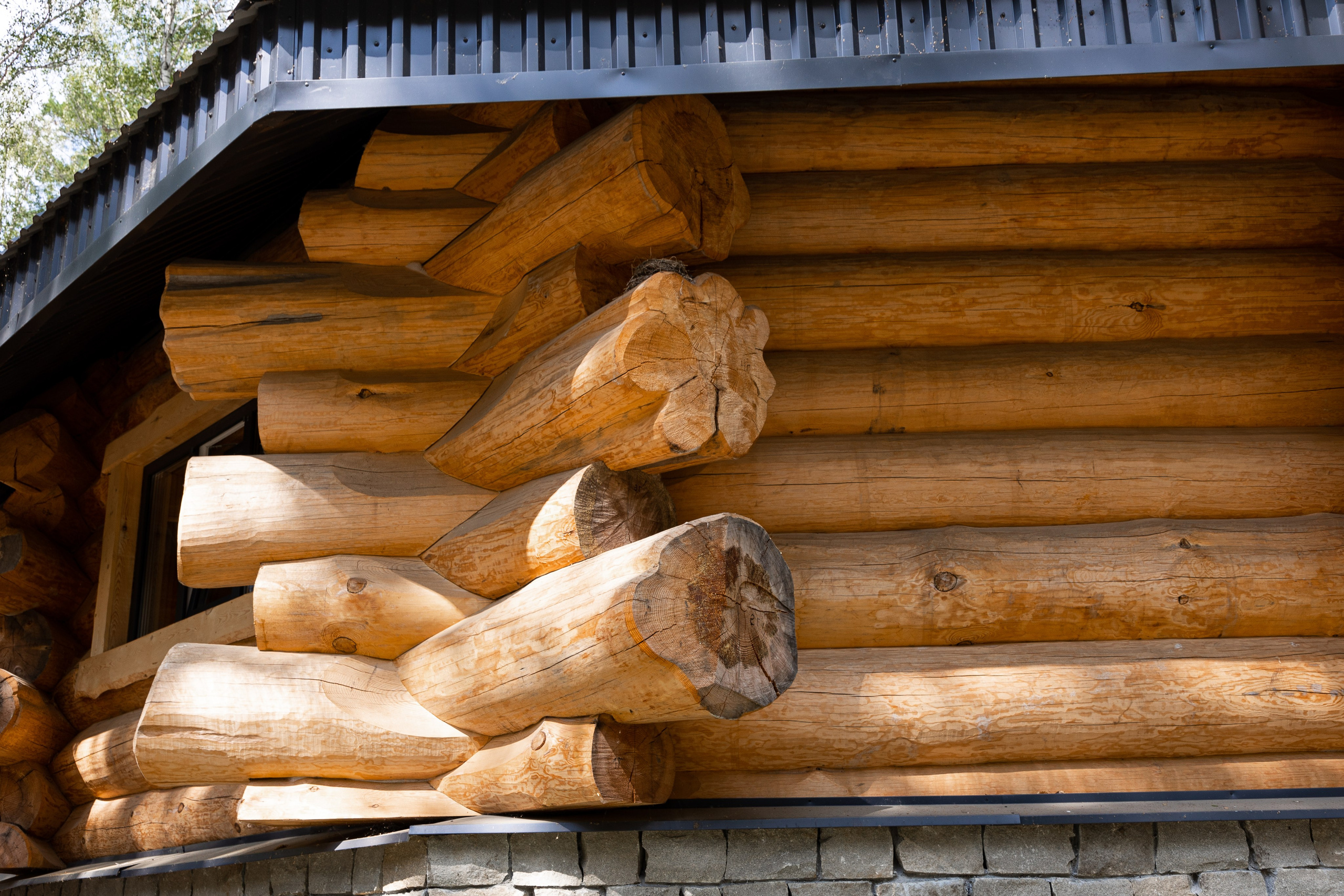 Камнево. Фотограф Денис Лесковский (Тюмень)