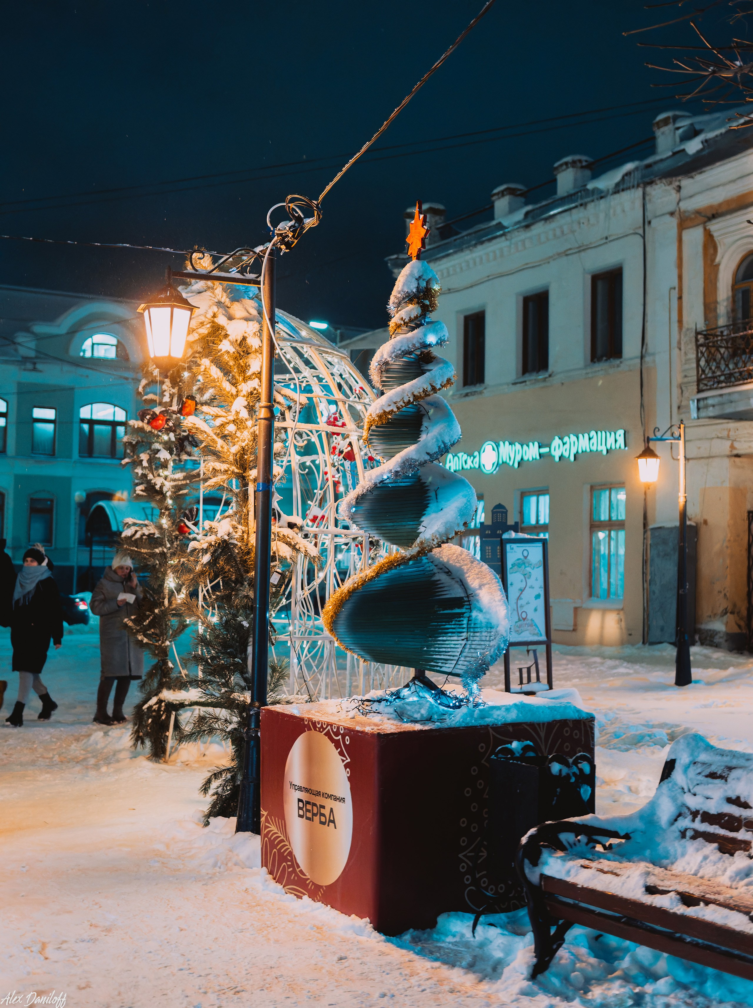 Елки 2025. Муром-Инфо. Новости культуры, образования, спорта в городе Муром