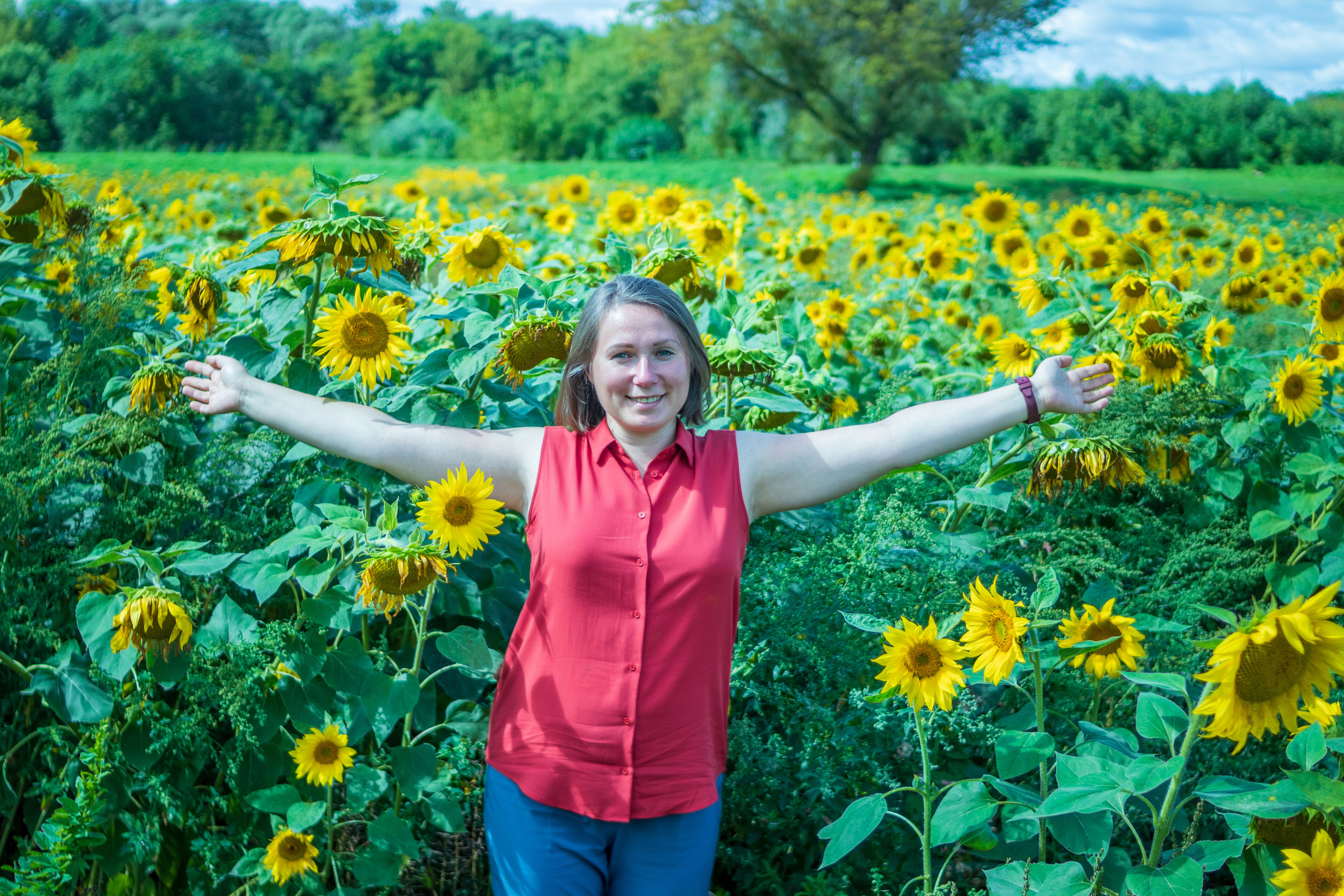 Екатерина — художник в поле подсолнухов. Фотограф в Серпухове Наталья Руденко