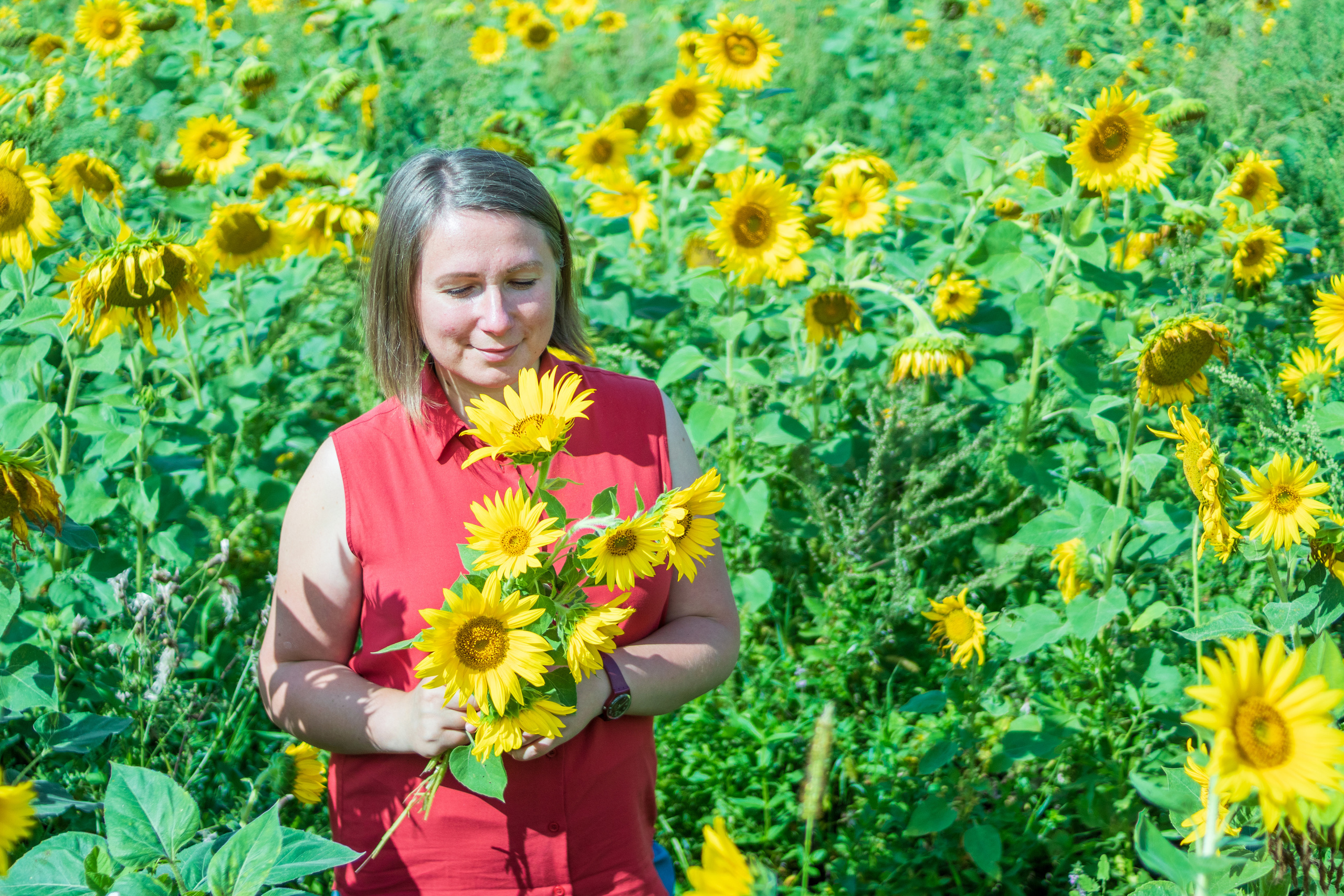 Екатерина — художник в поле подсолнухов. Фотограф в Серпухове Наталья Руденко