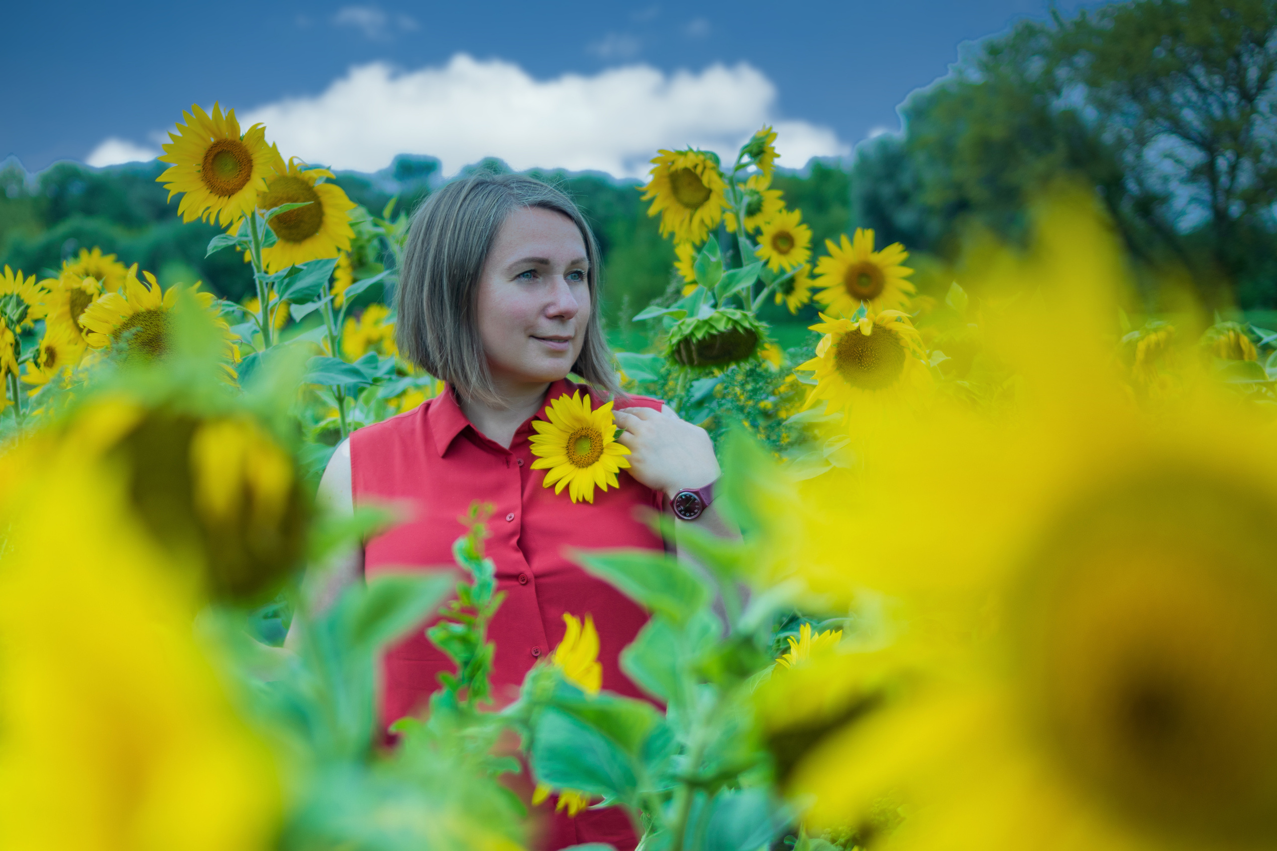 Екатерина — художник в поле подсолнухов. Фотограф в Серпухове Наталья Руденко
