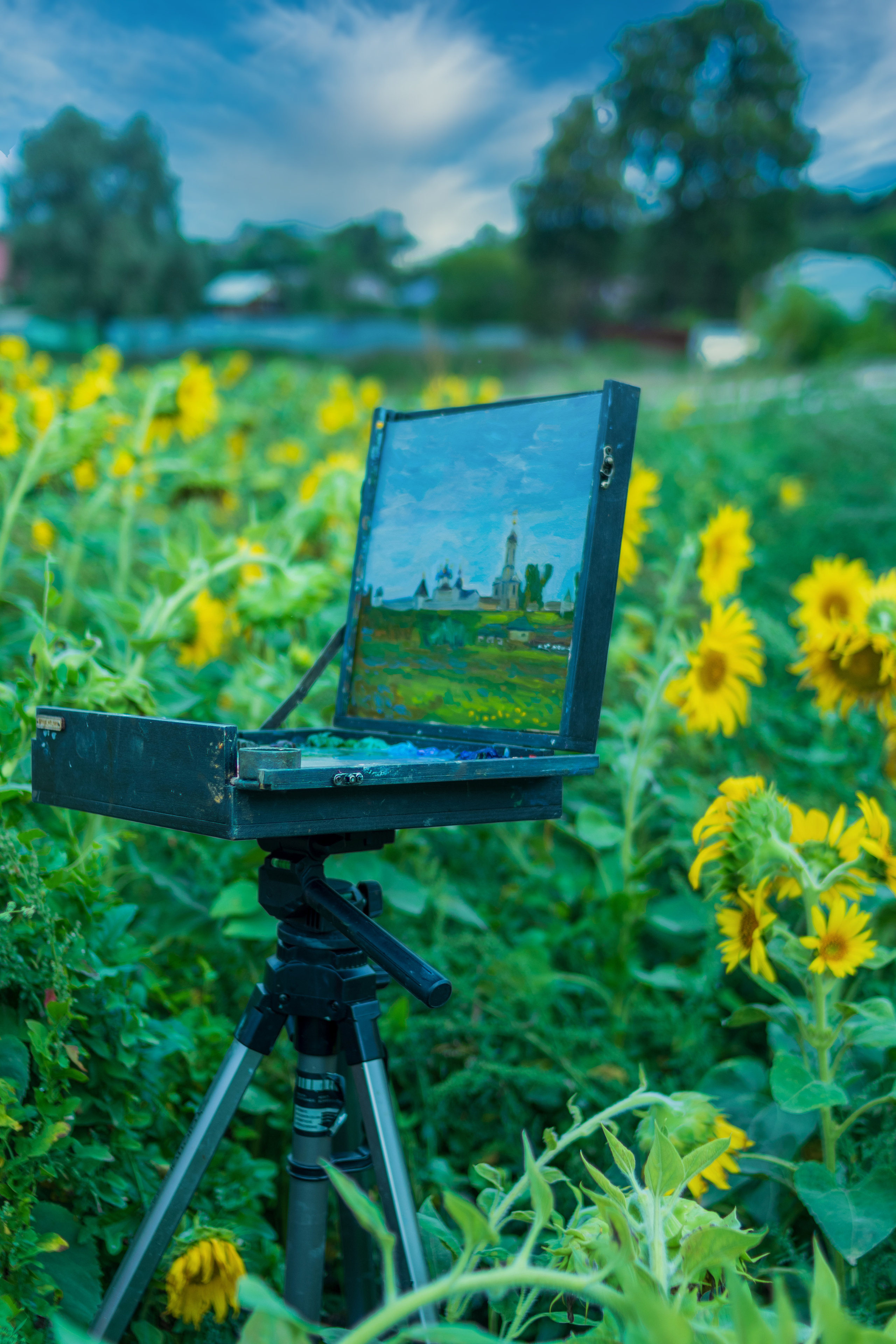 Картина маслом - подсолнухи.