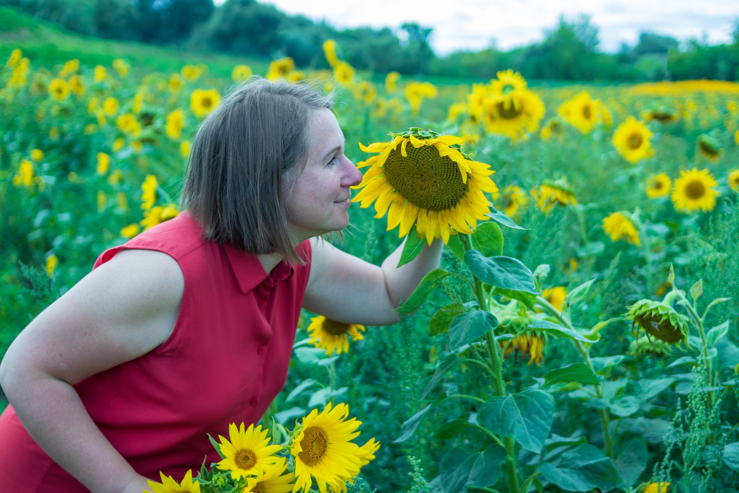 Екатерина — художник в поле подсолнухов. Фотограф в Серпухове Наталья Руденко