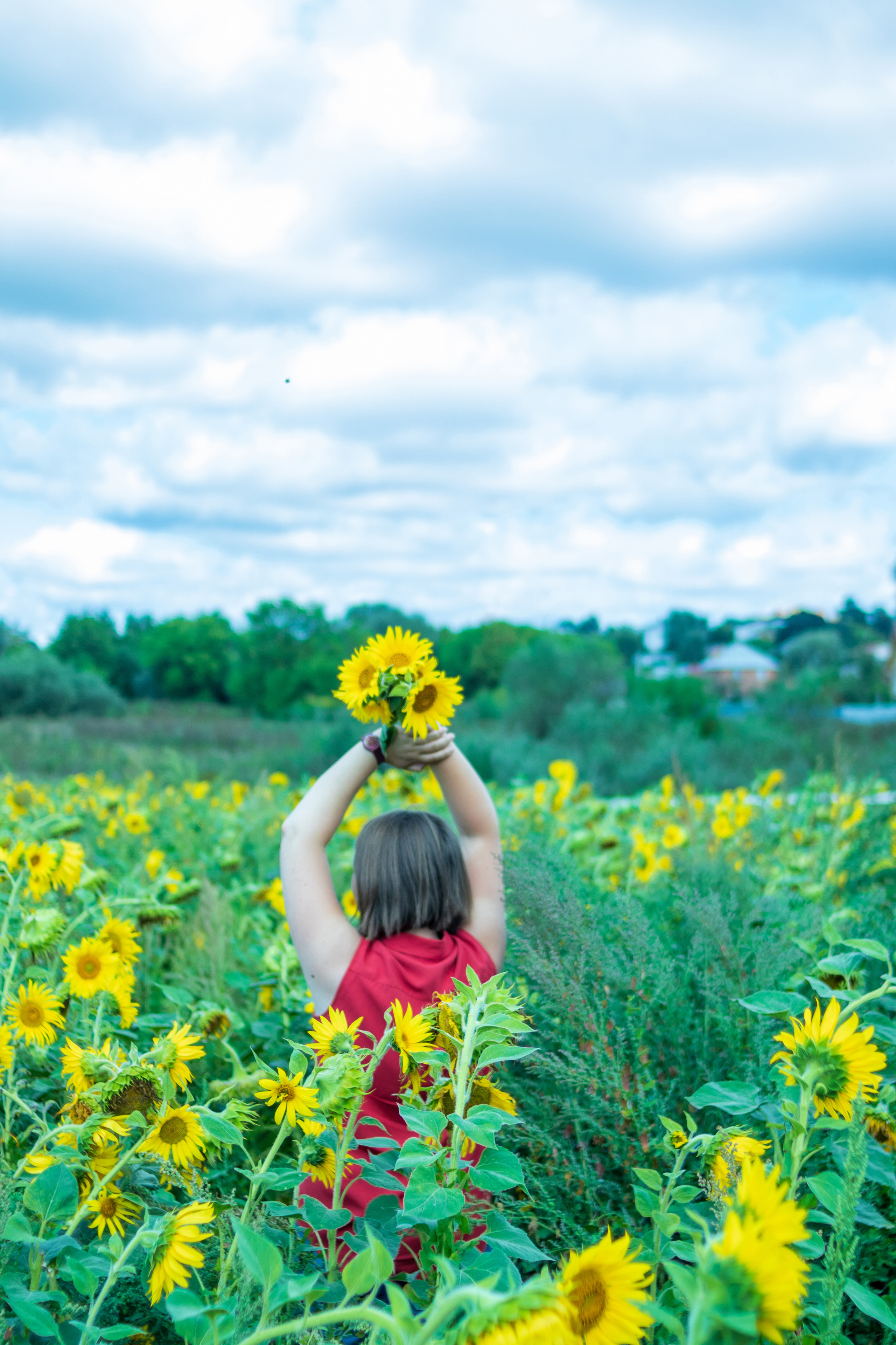 Екатерина — художник в поле подсолнухов. Фотограф в Серпухове Наталья Руденко