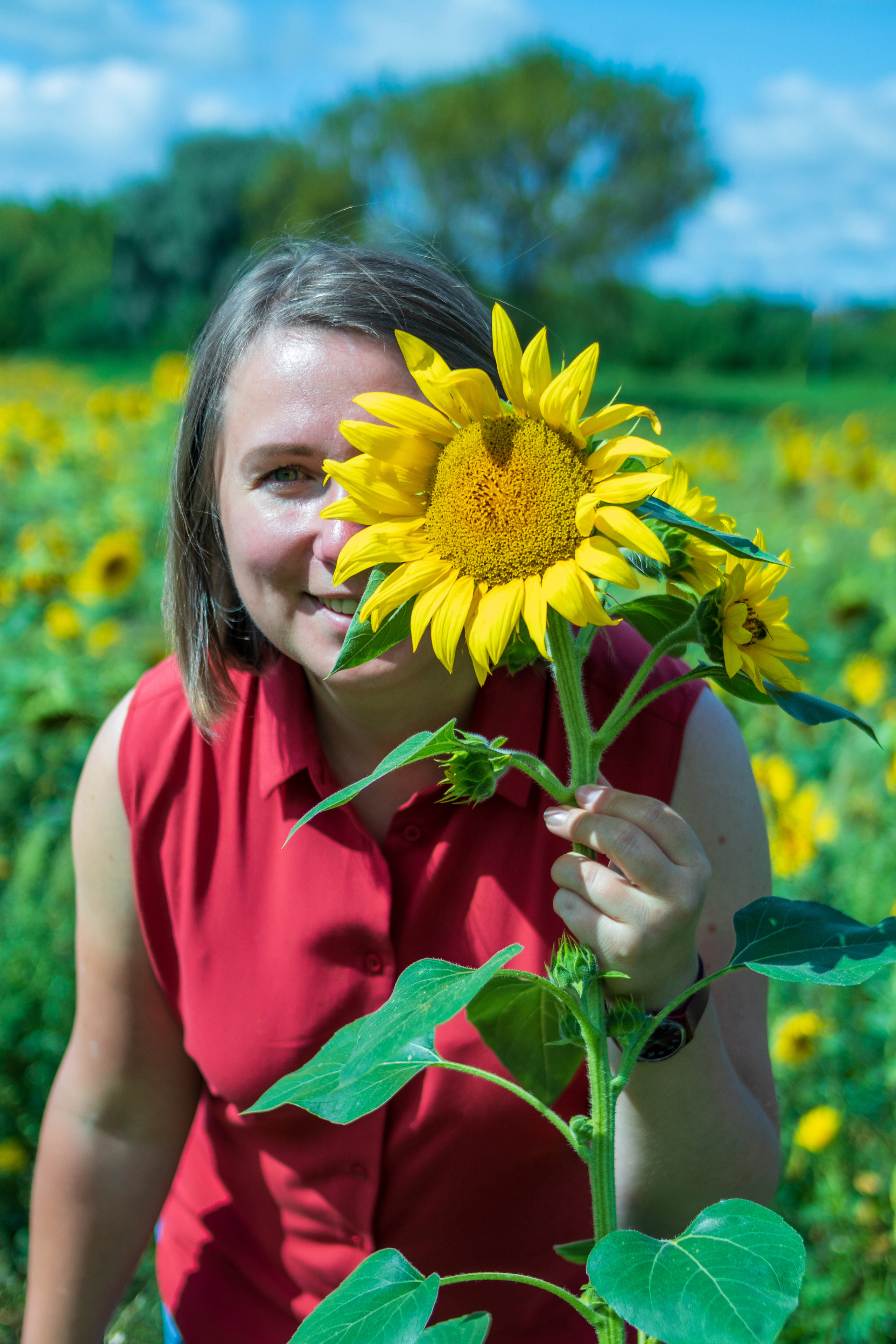 Екатерина — художник в поле подсолнухов. Фотограф в Серпухове Наталья Руденко